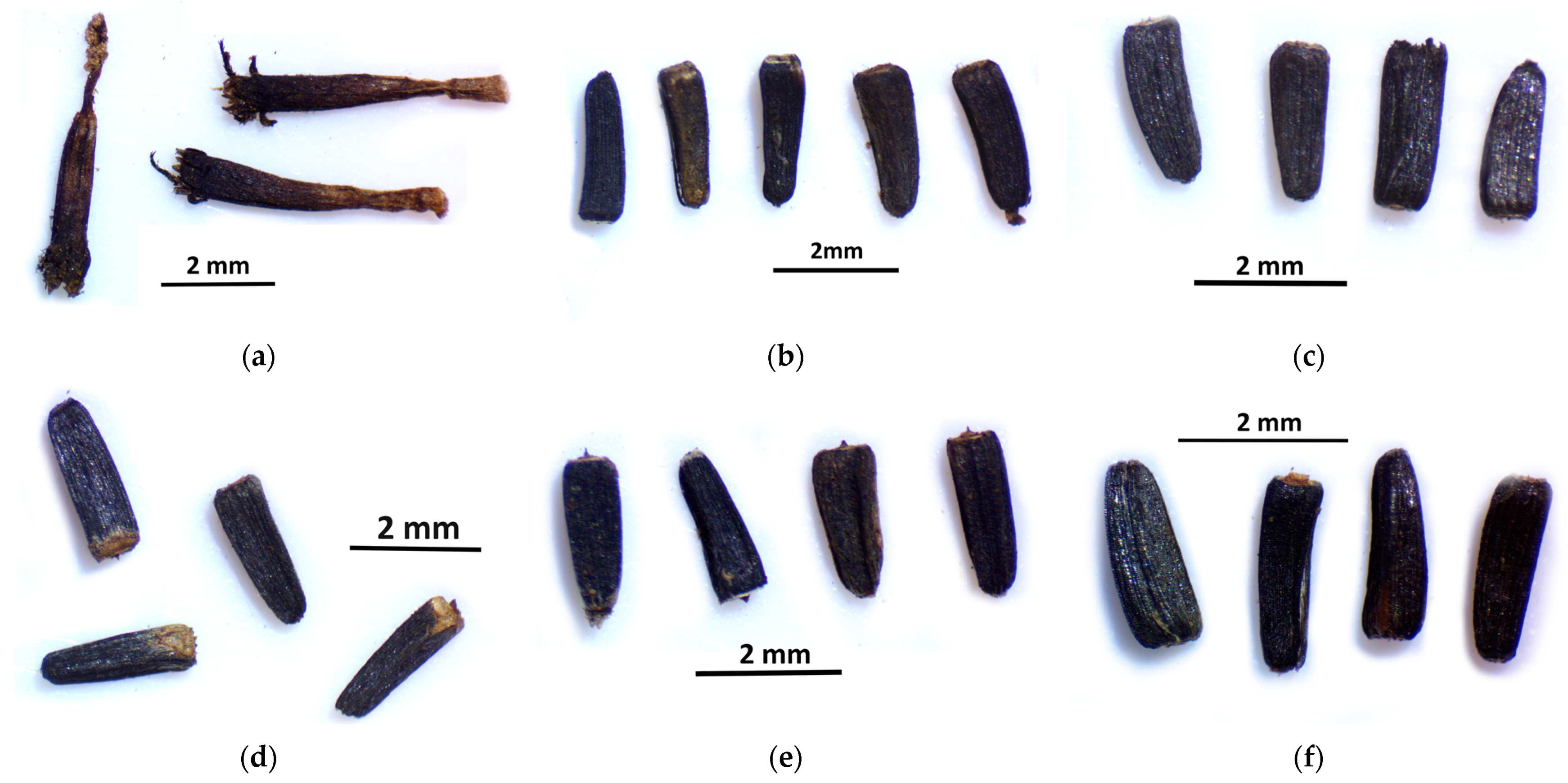 Plants 12 02245 g005