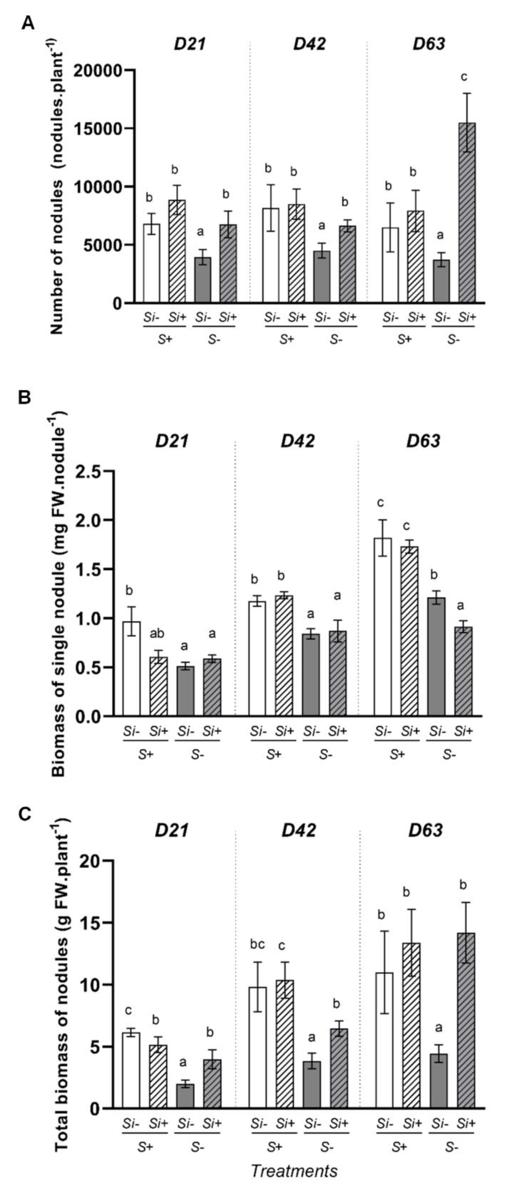 Plants 12 02248 g003 Plants 12 02248 g003