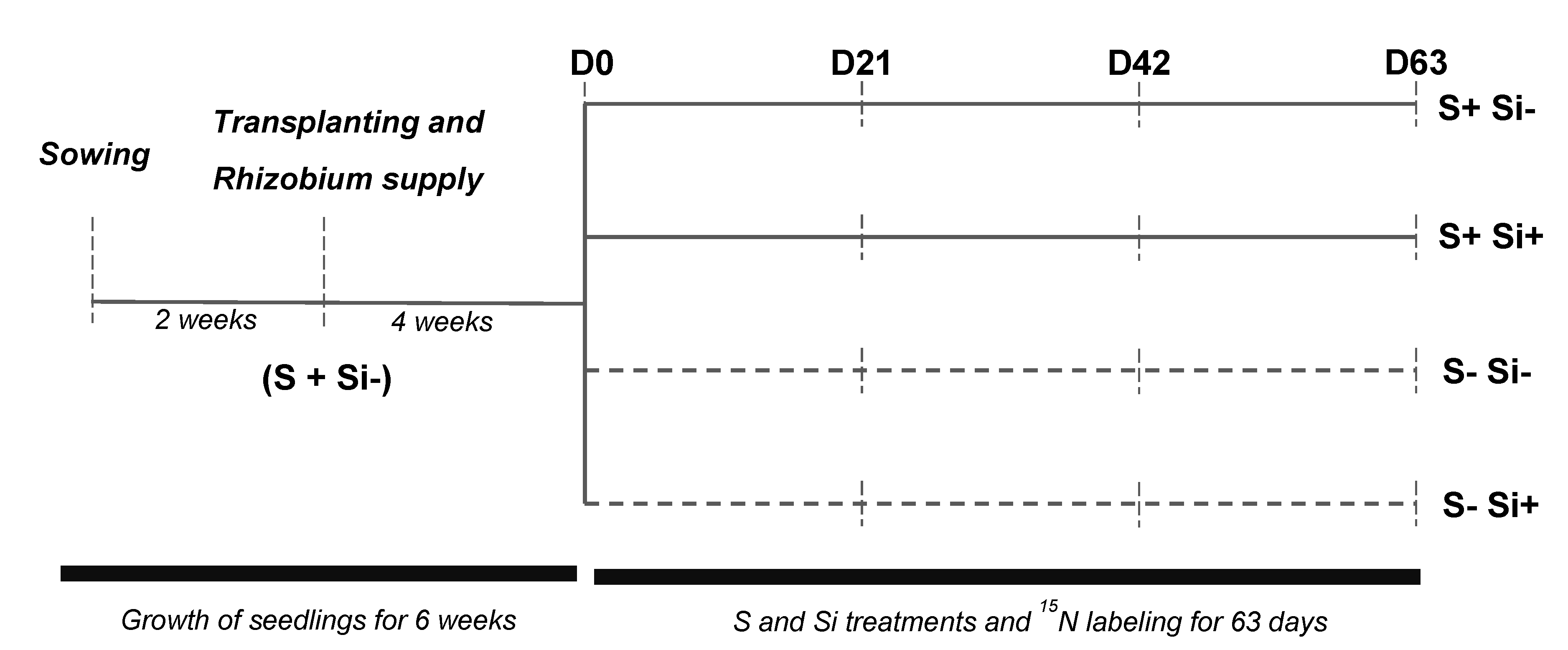 Plants 12 02248 g006 Plants 12 02248 g006