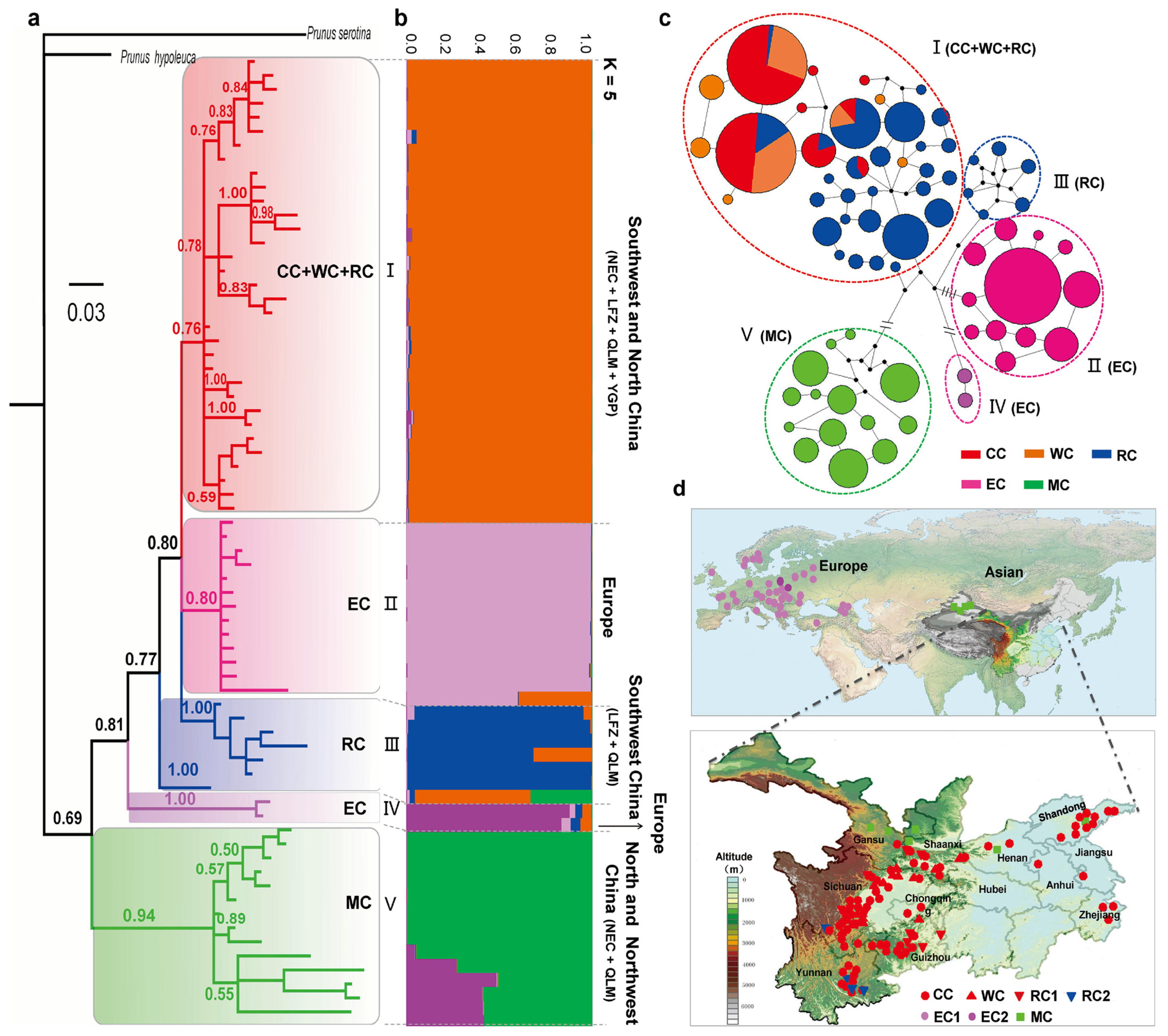 Plants 12 02258 g002