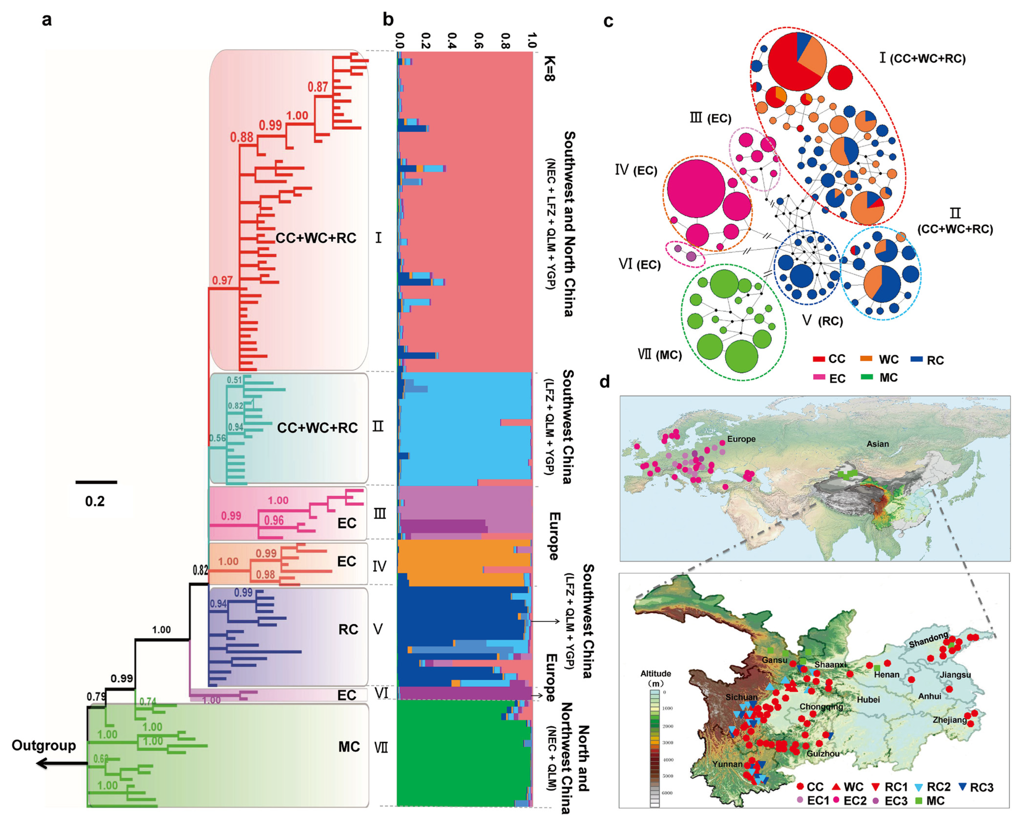 Plants 12 02258 g003