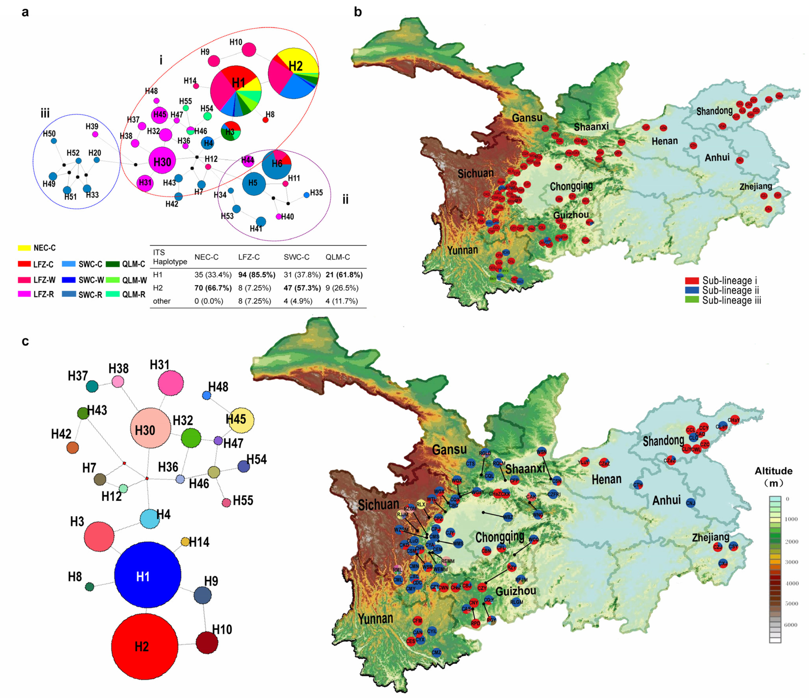 Plants 12 02258 g005