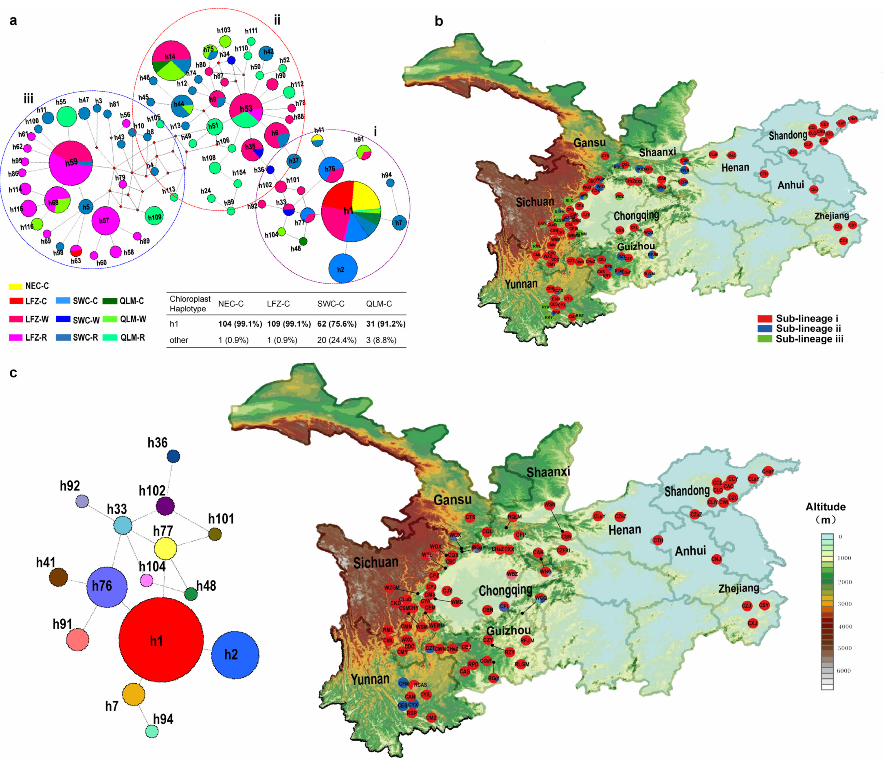 Plants 12 02258 g006