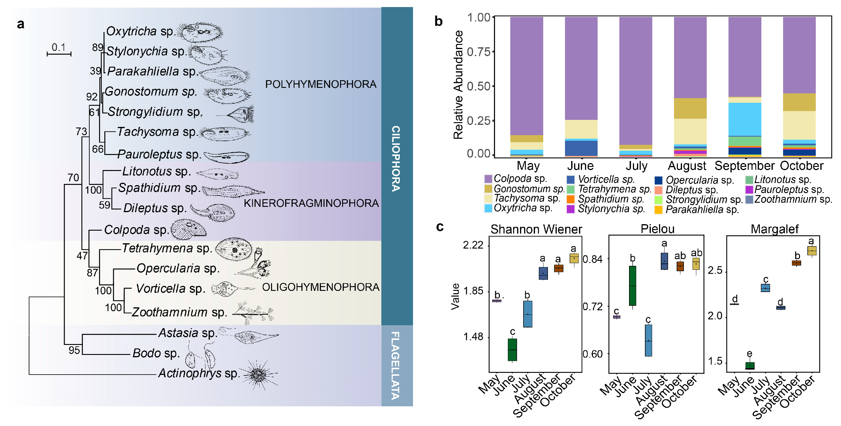 Plants 12 02260 g001