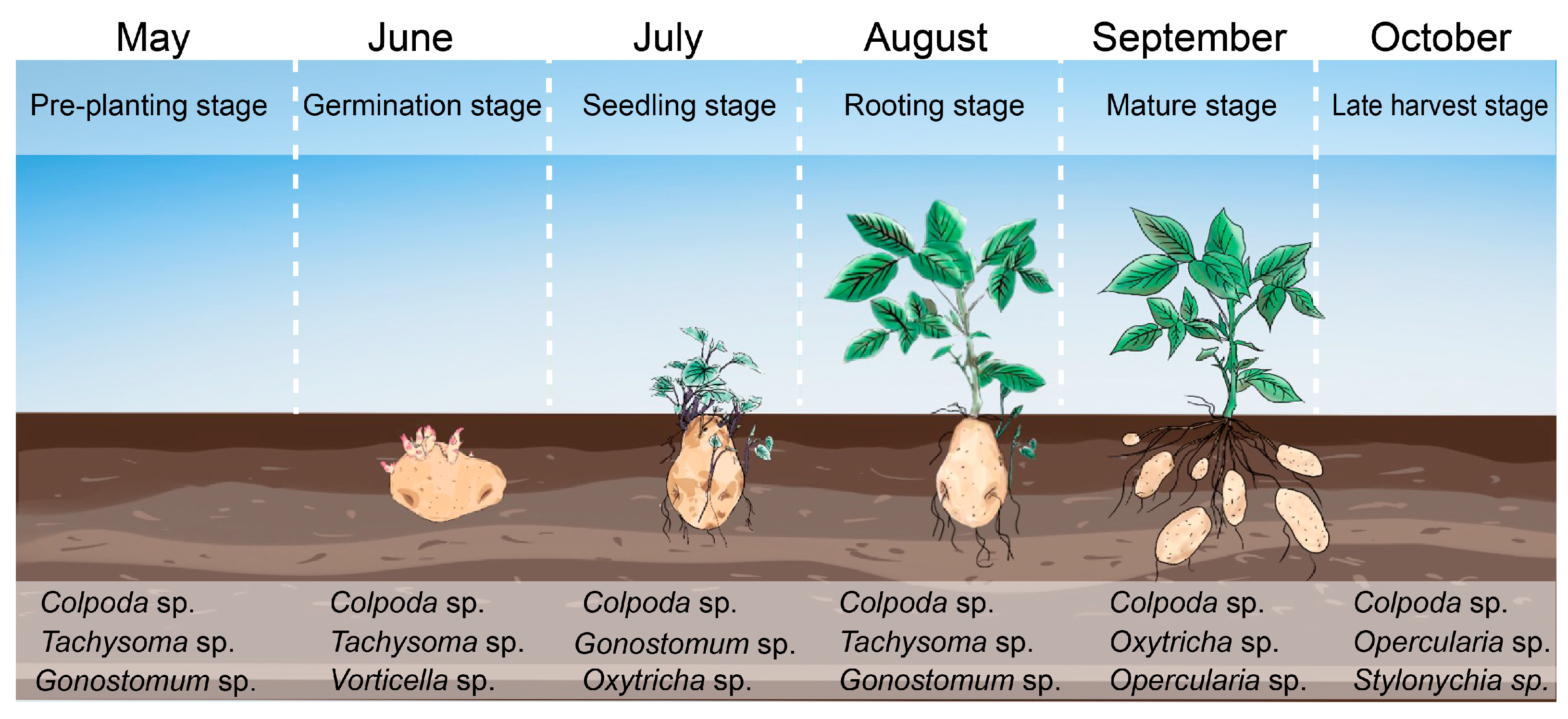 Plants 12 02260 g0a1
