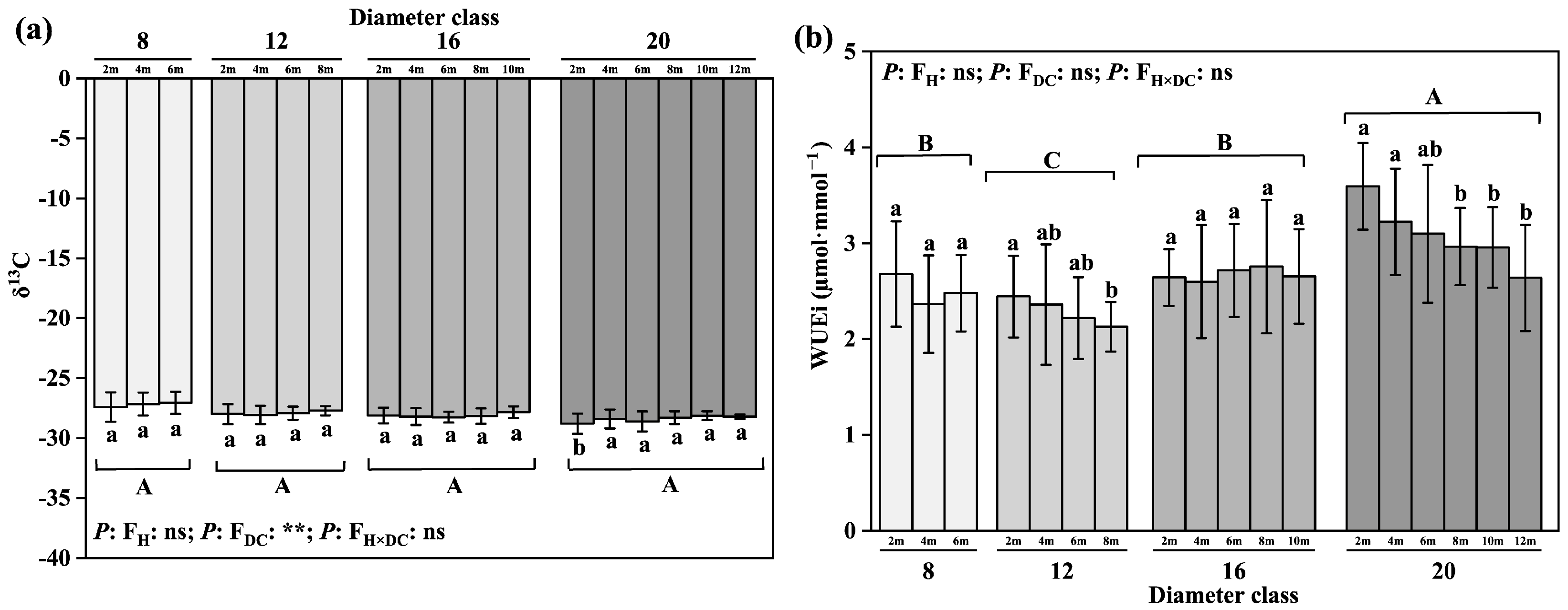 Plants 12 02262 g004 Plants 12 02262 g004