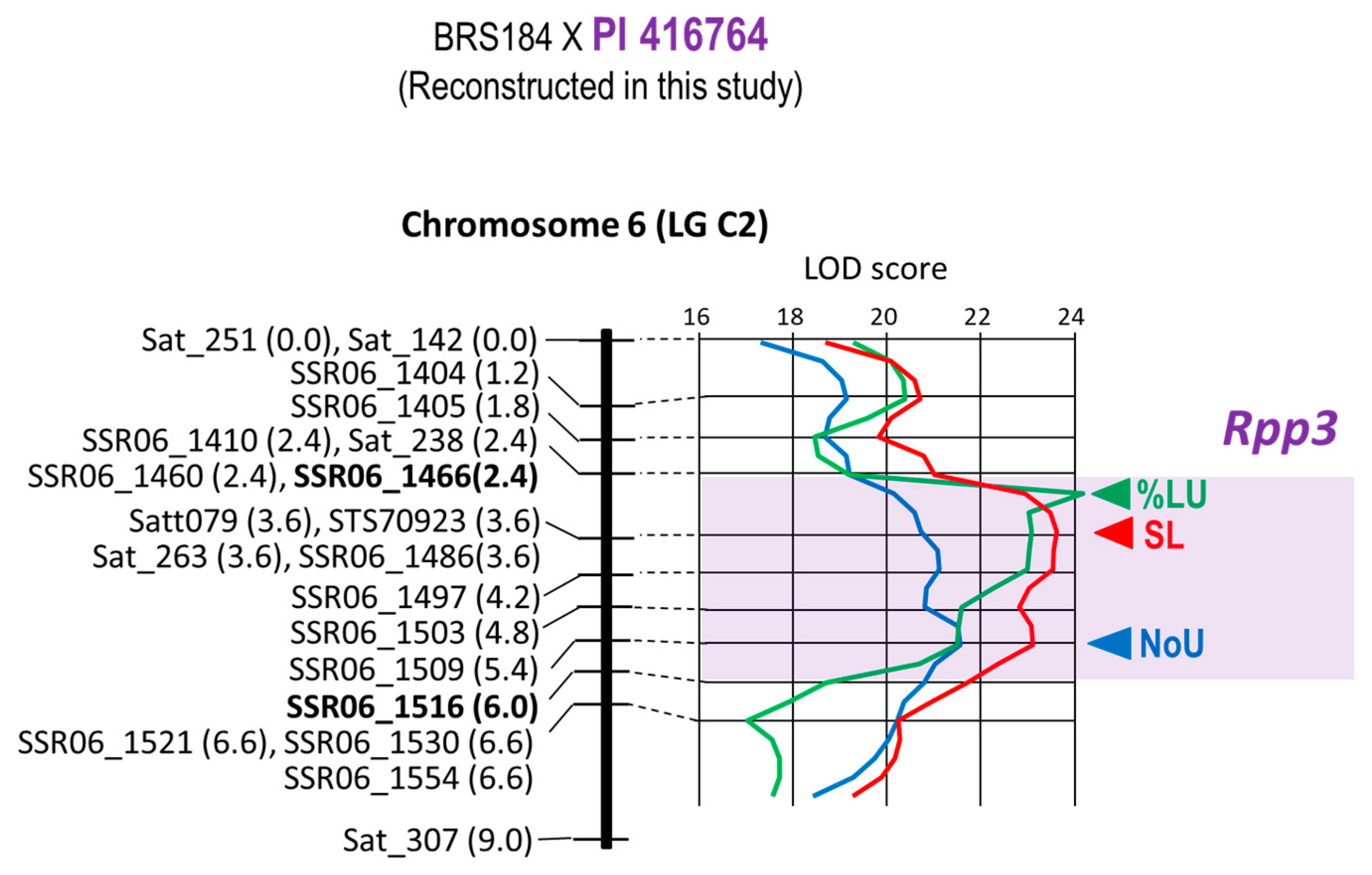 Plants 12 02263 g003 Plants 12 02263 g003