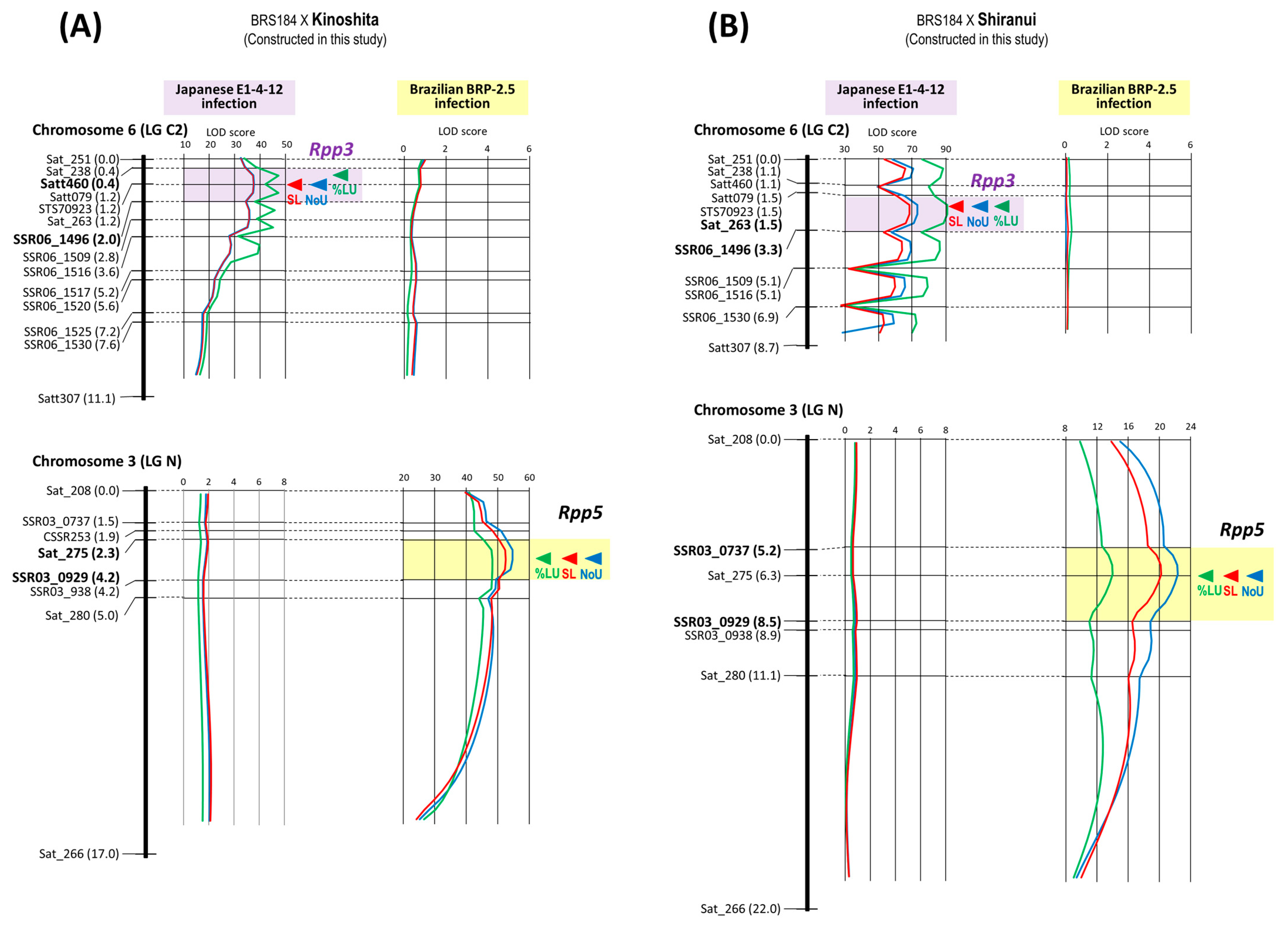 Plants 12 02263 g005 Plants 12 02263 g005