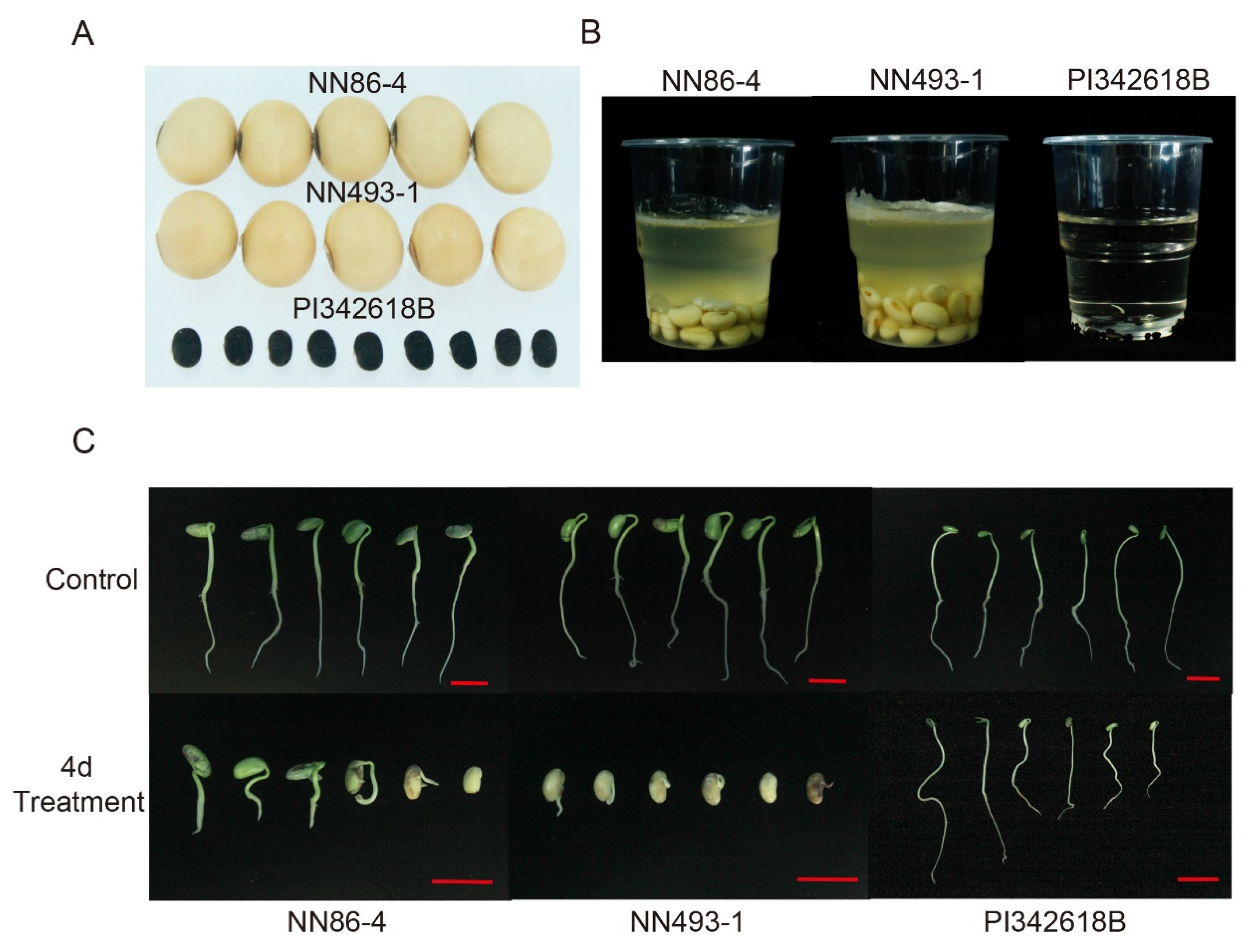 Plants 12 02266 g002