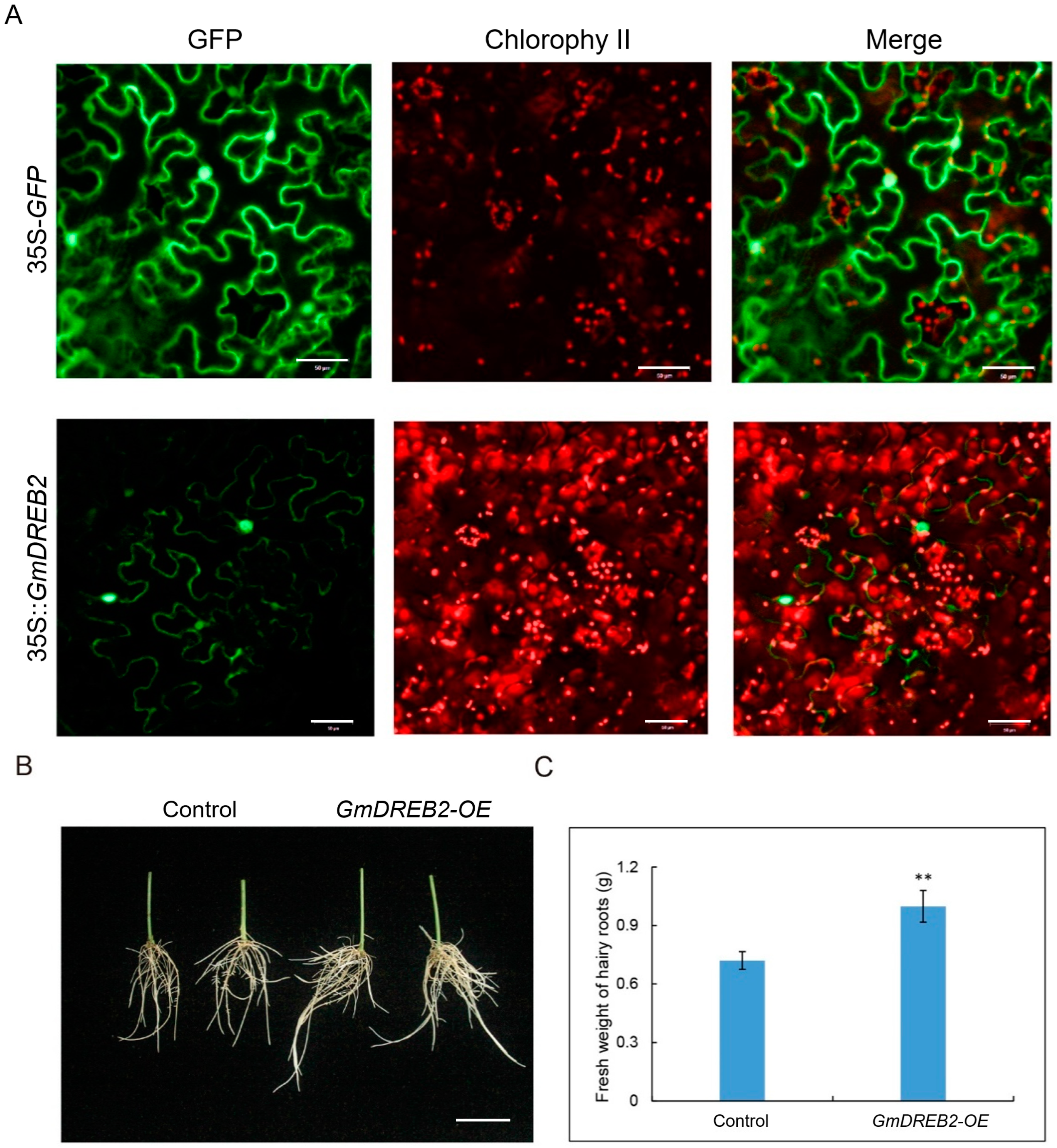 Plants 12 02266 g005