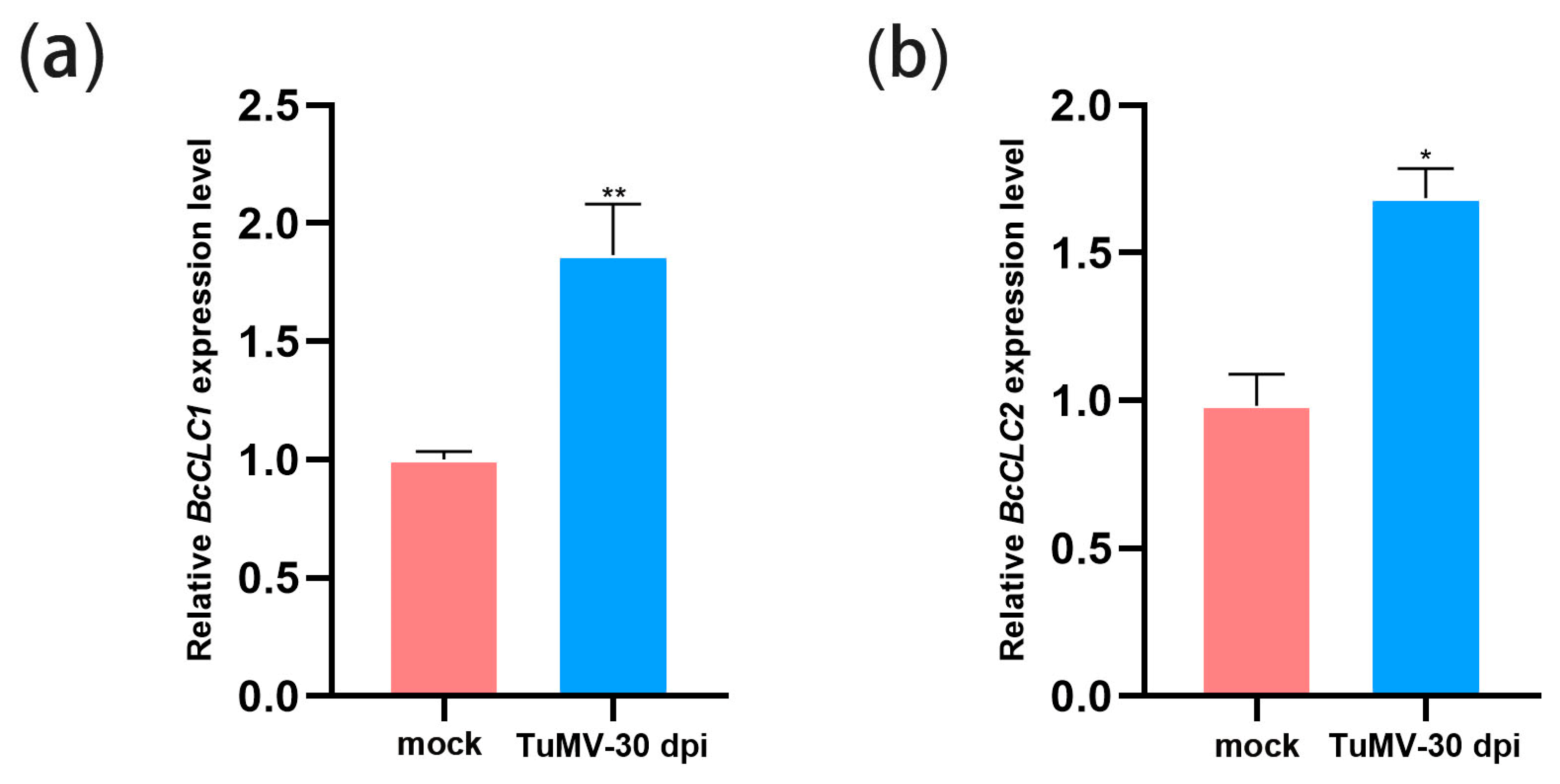 Plants 12 02269 g001