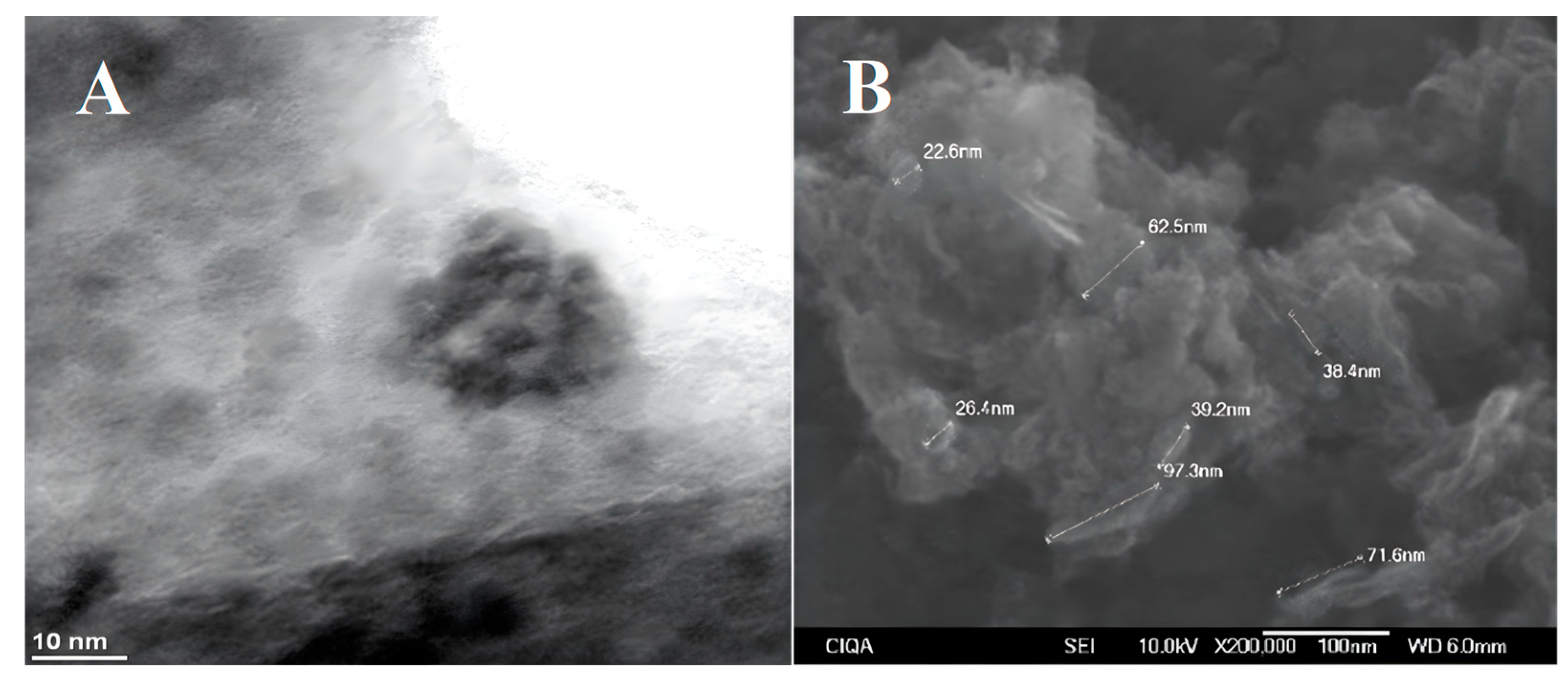 Plants 12 02270 g008a