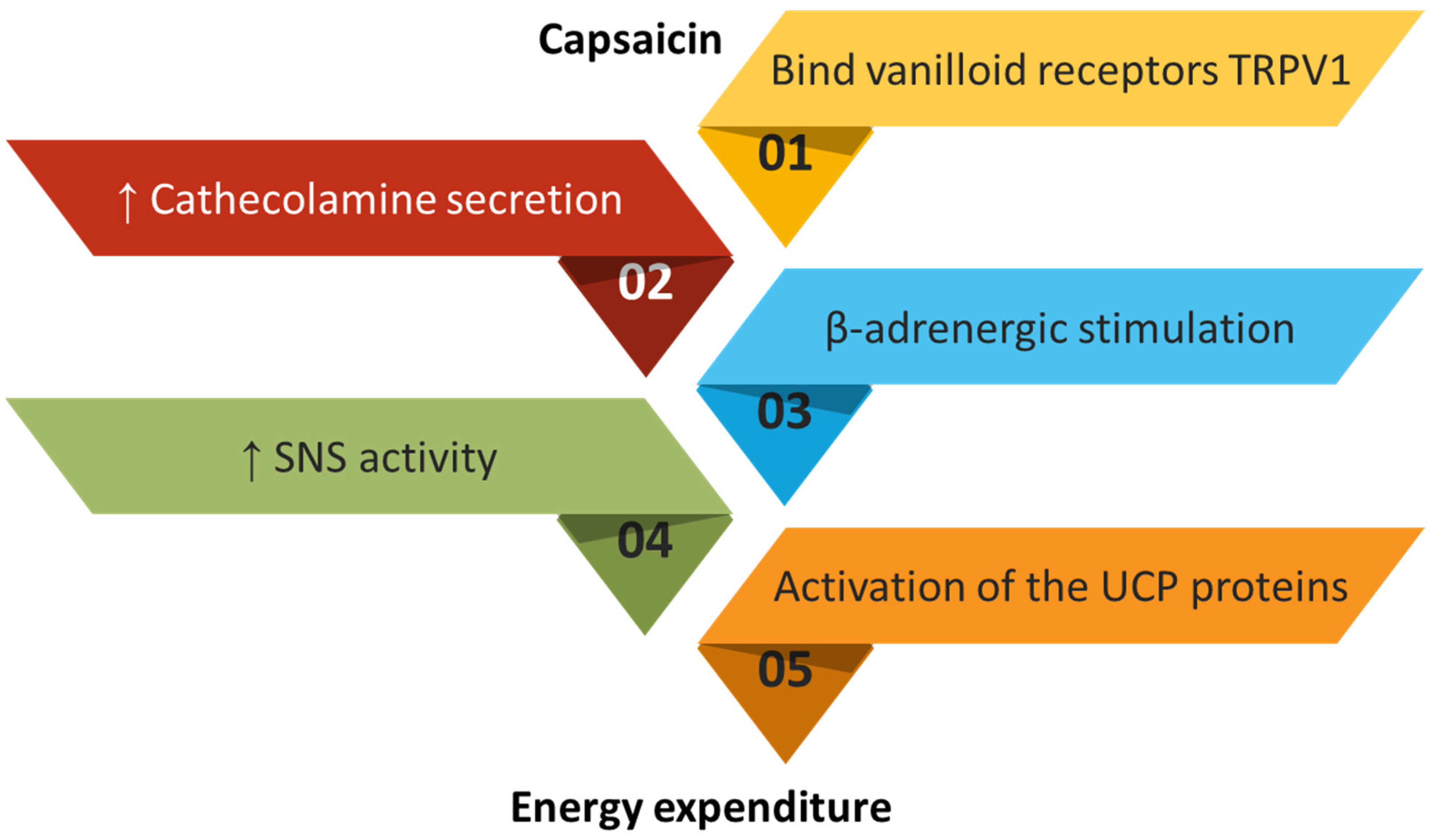 Plants 12 02273 g002