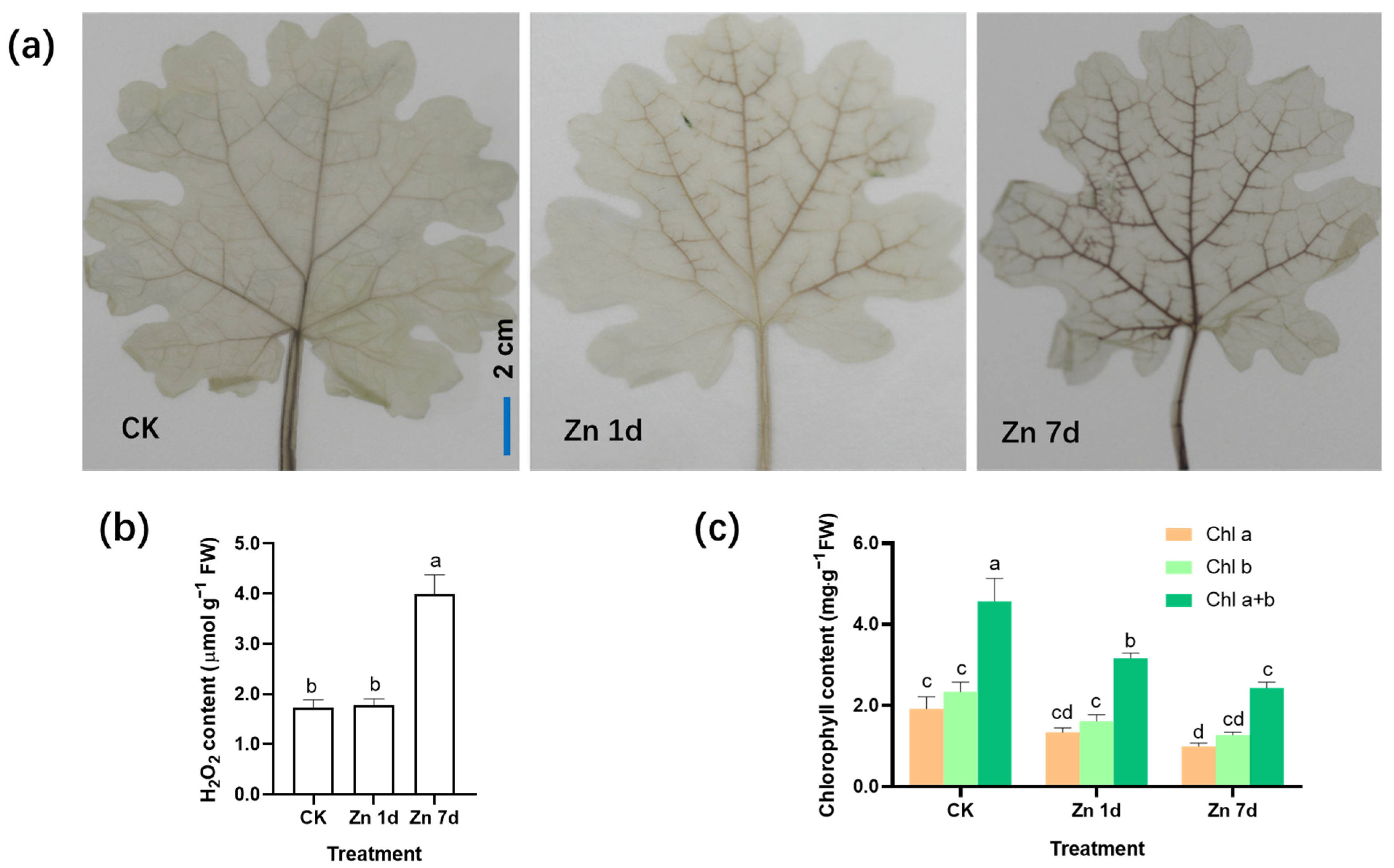 Plants 12 02275 g002