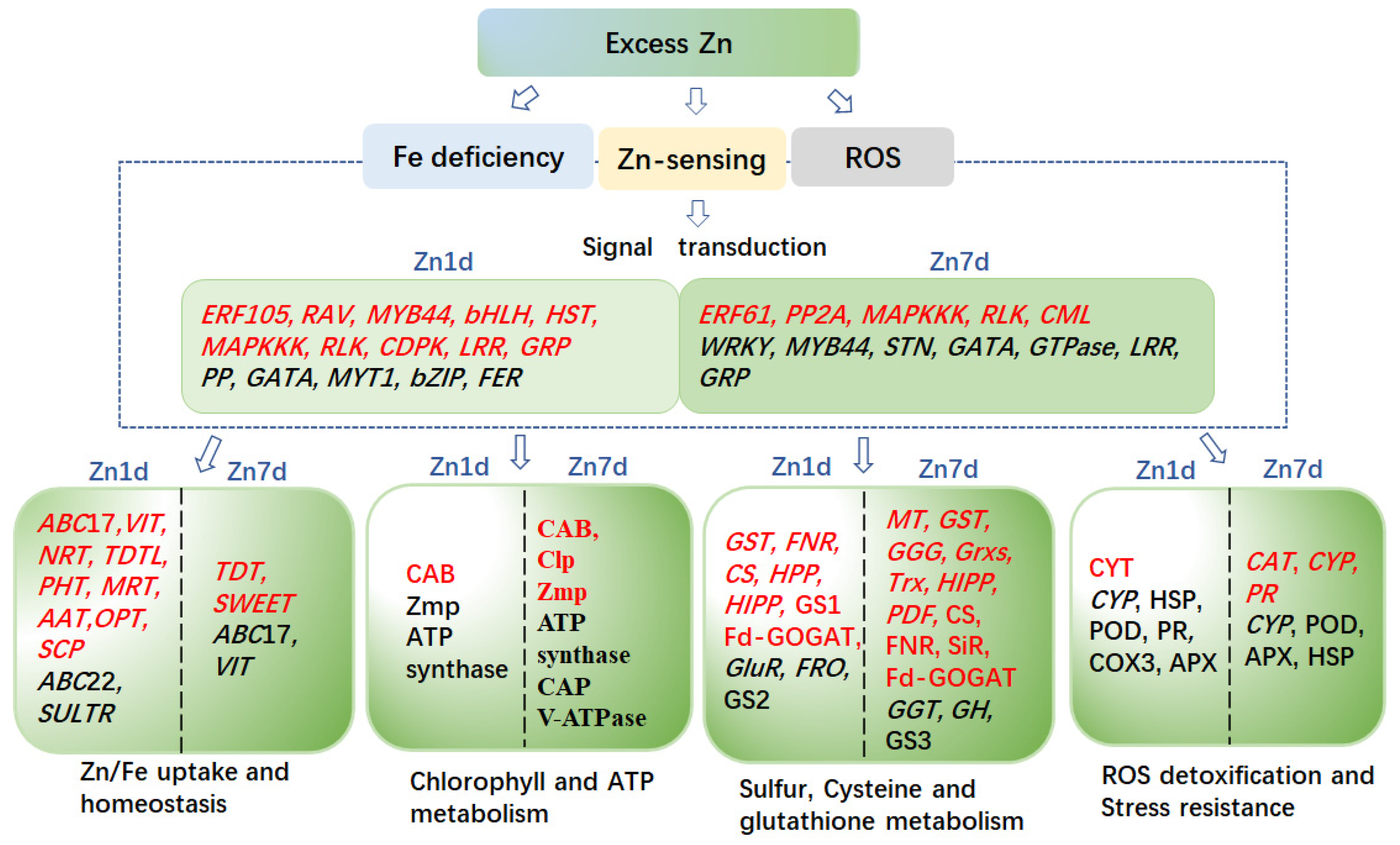 Plants 12 02275 g010