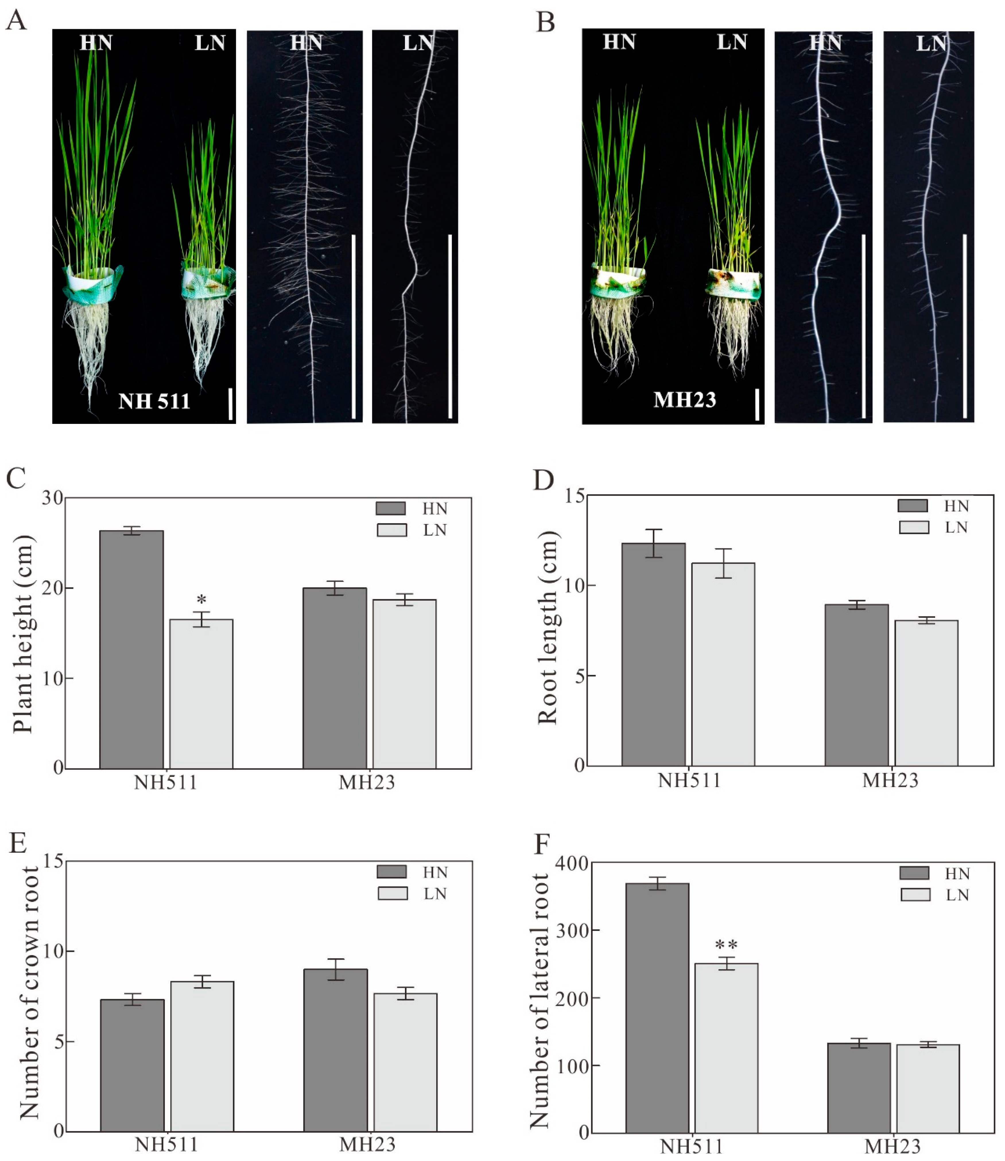 Plants 12 02276 g001 Plants 12 02276 g001