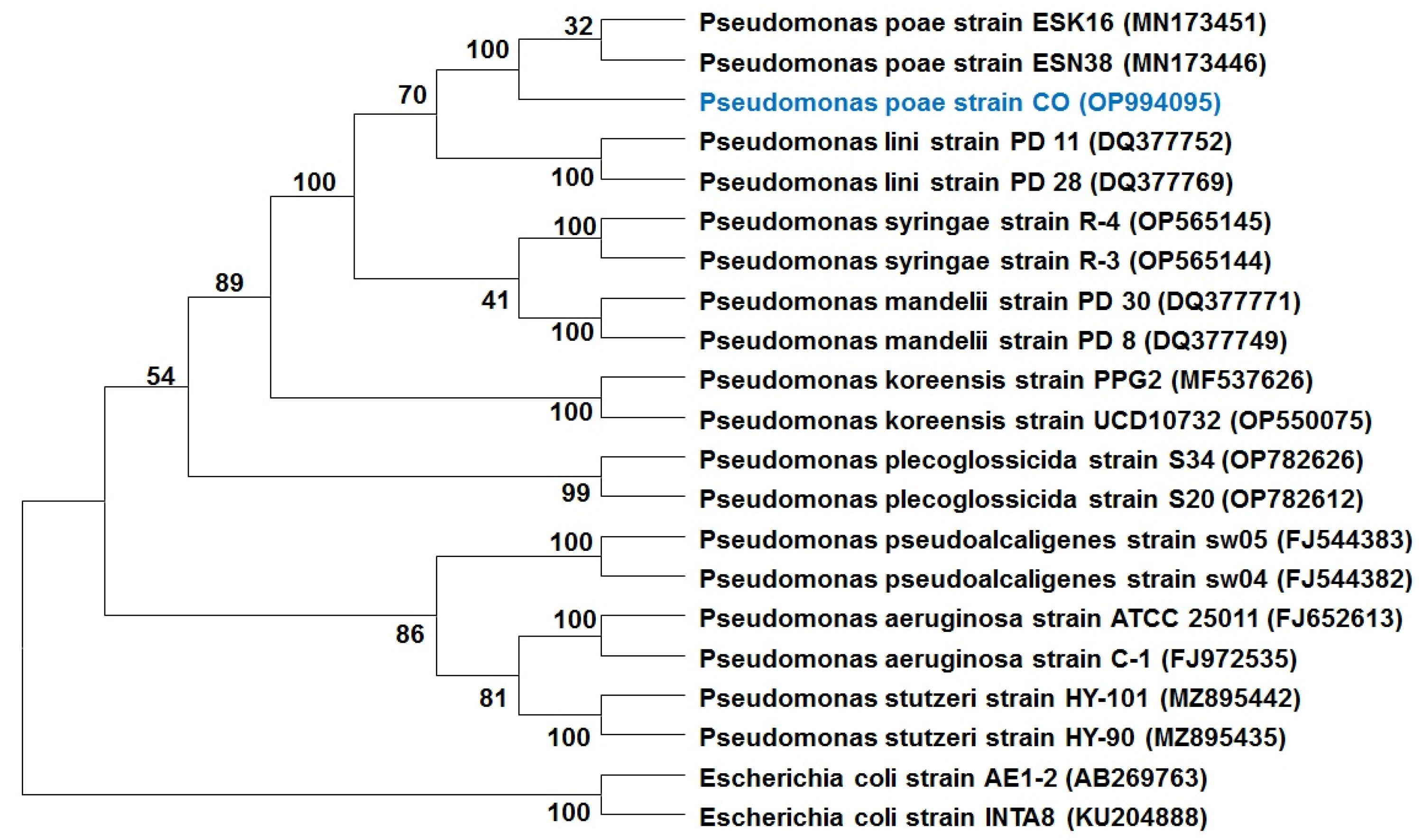 Plants 12 02277 g005 Plants 12 02277 g005