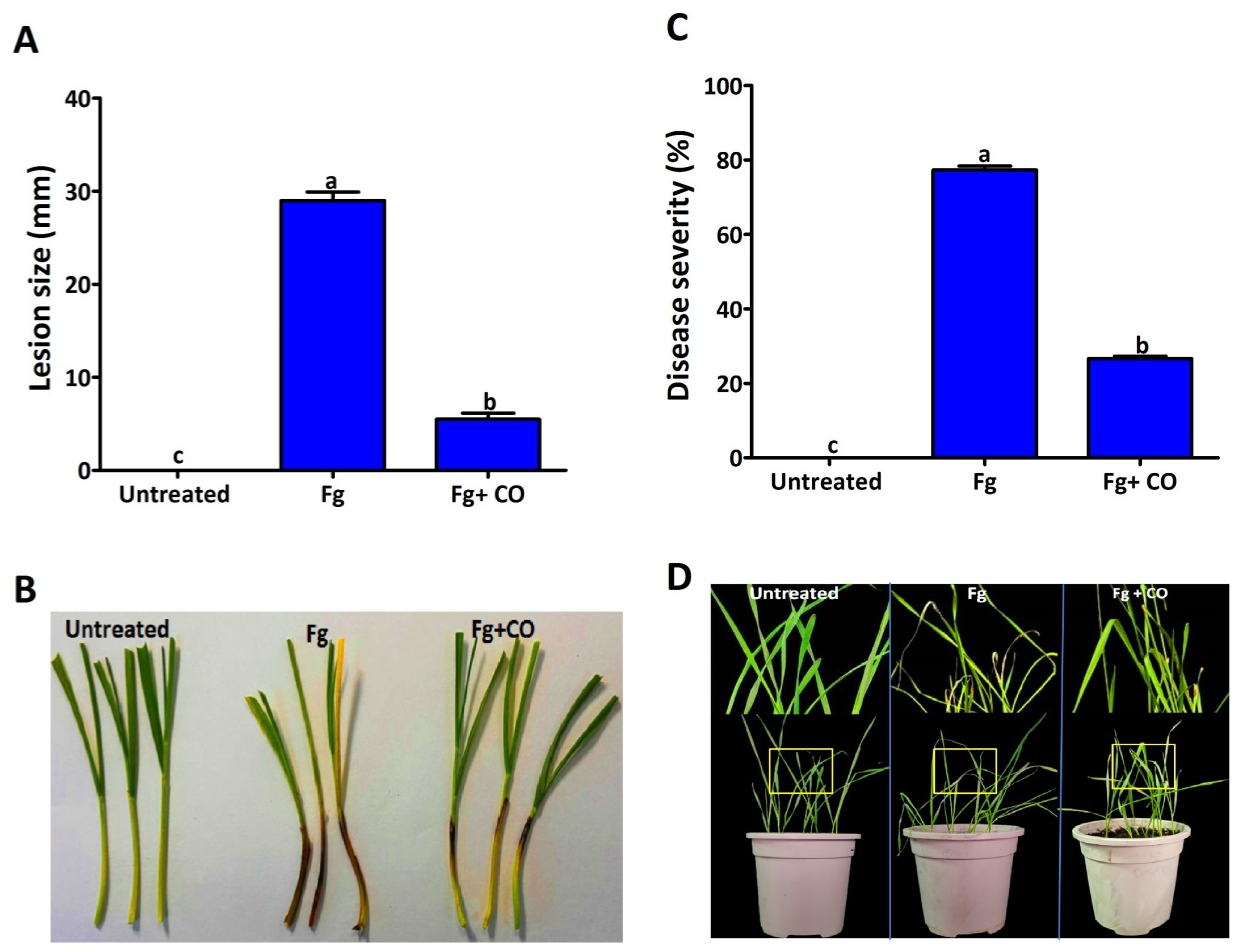 Plants 12 02277 g007 Plants 12 02277 g007