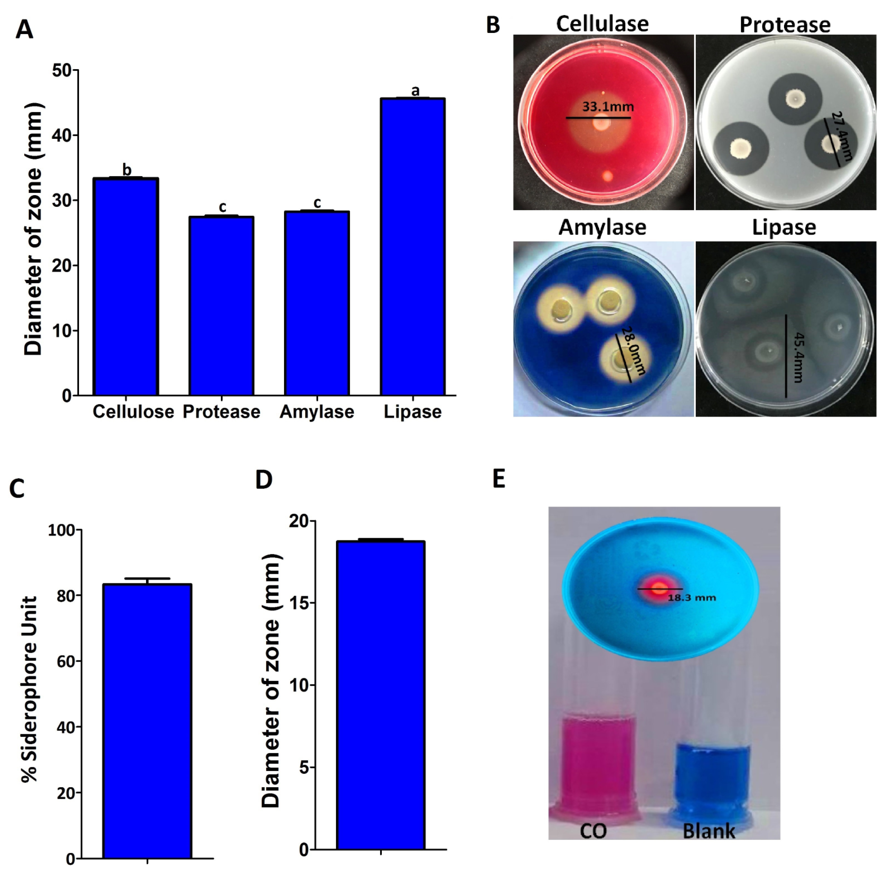 Plants 12 02277 g008 Plants 12 02277 g008