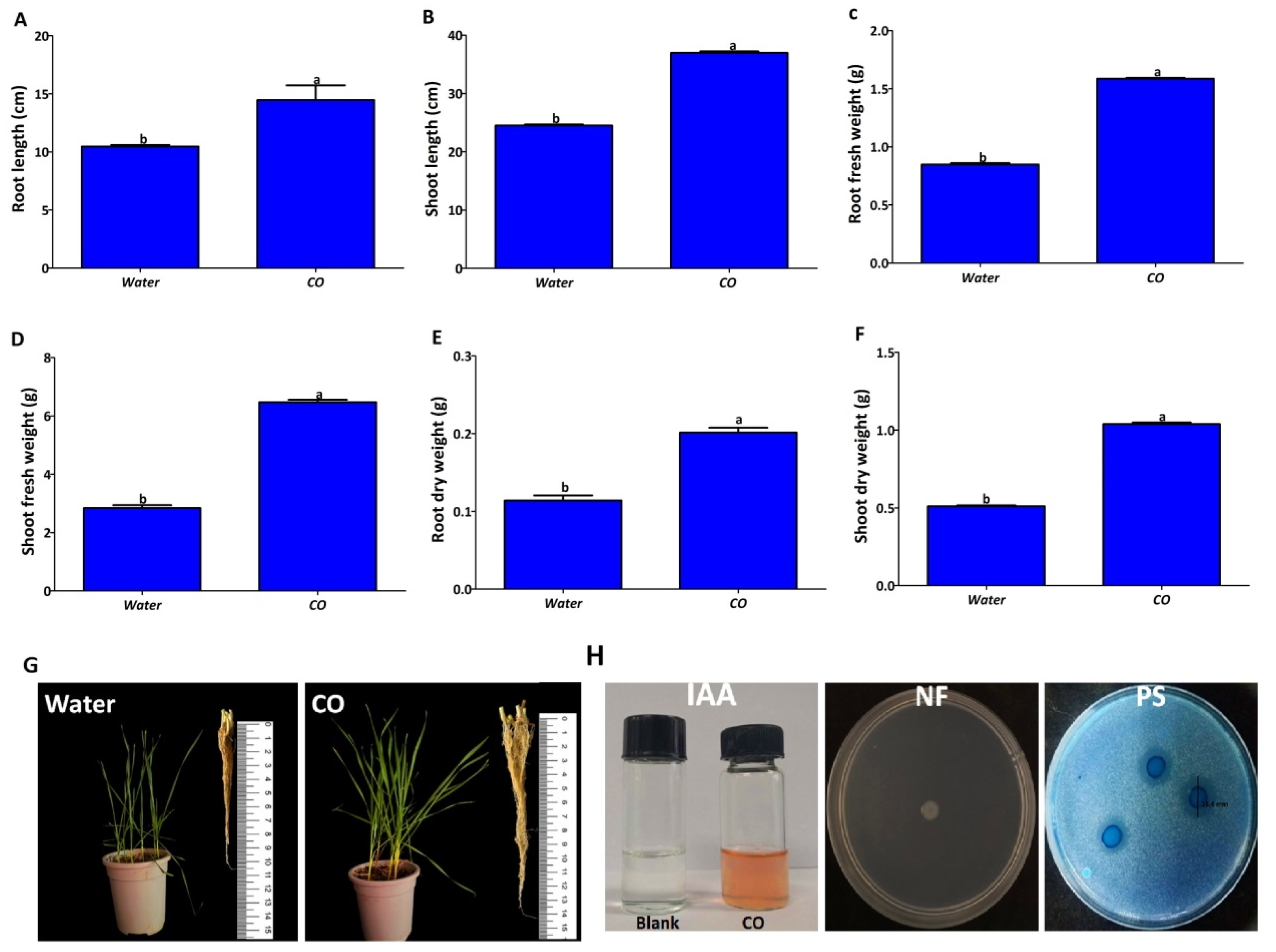 Plants 12 02277 g010 Plants 12 02277 g010