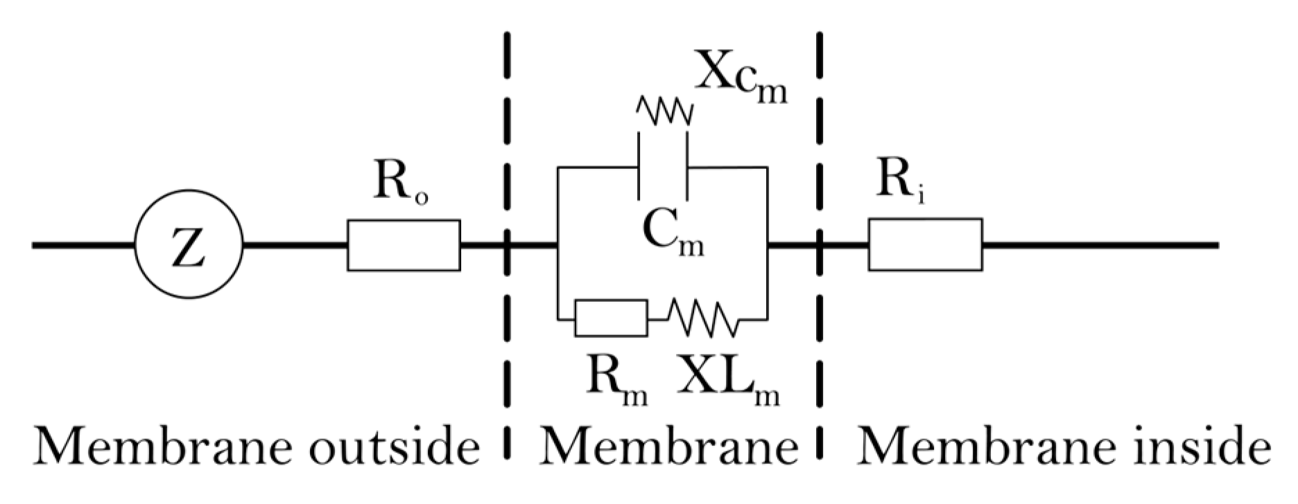 Plants 12 02279 g001