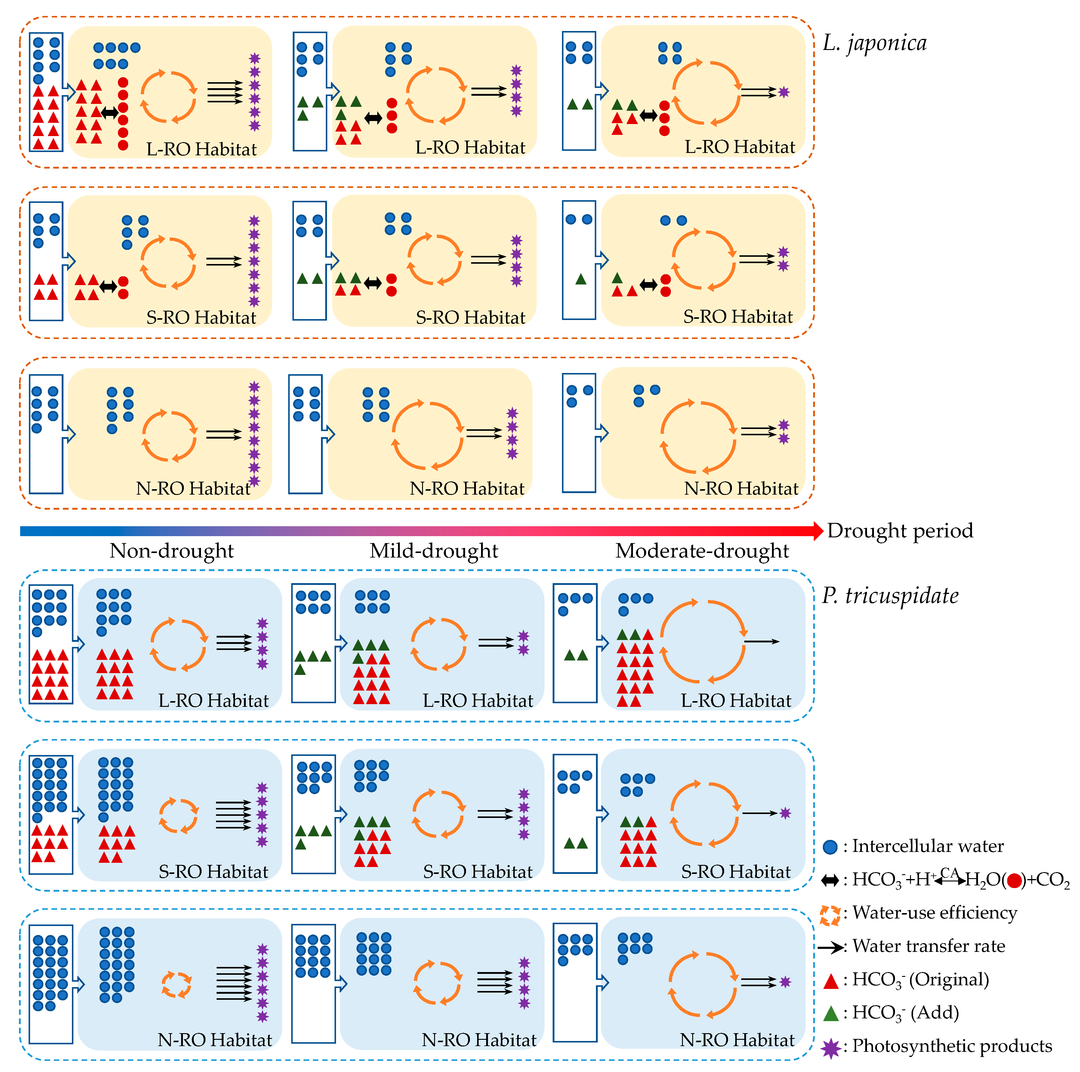 Plants 12 02279 g010