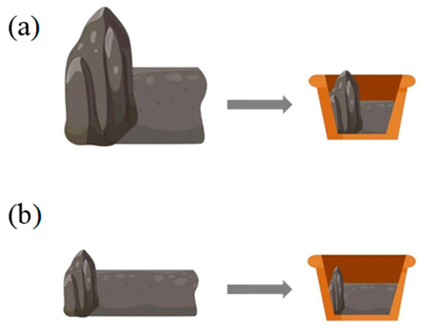 Plants 12 02279 g011