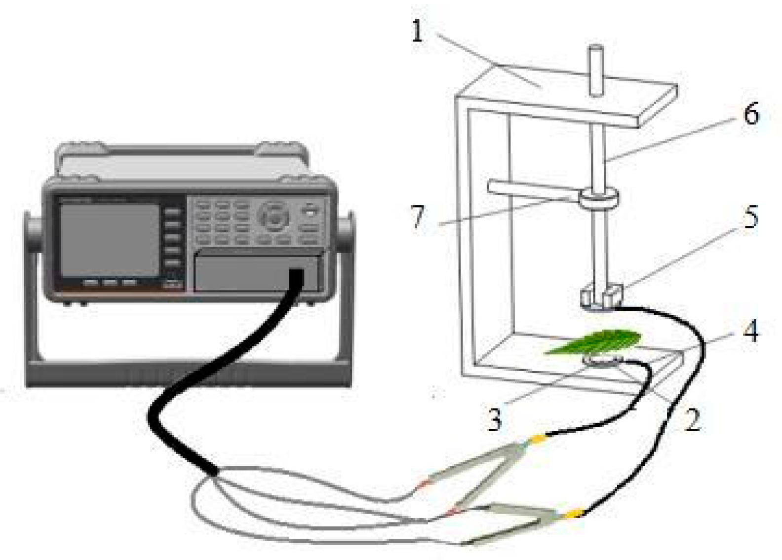 Plants 12 02279 g012