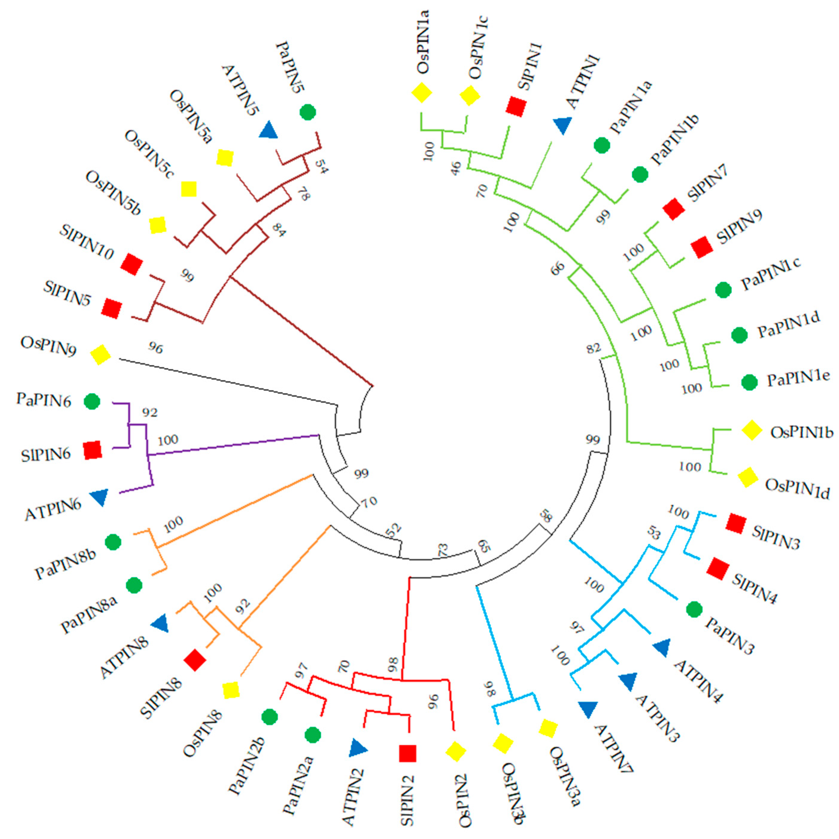 Plants 12 02280 g001 Plants 12 02280 g001