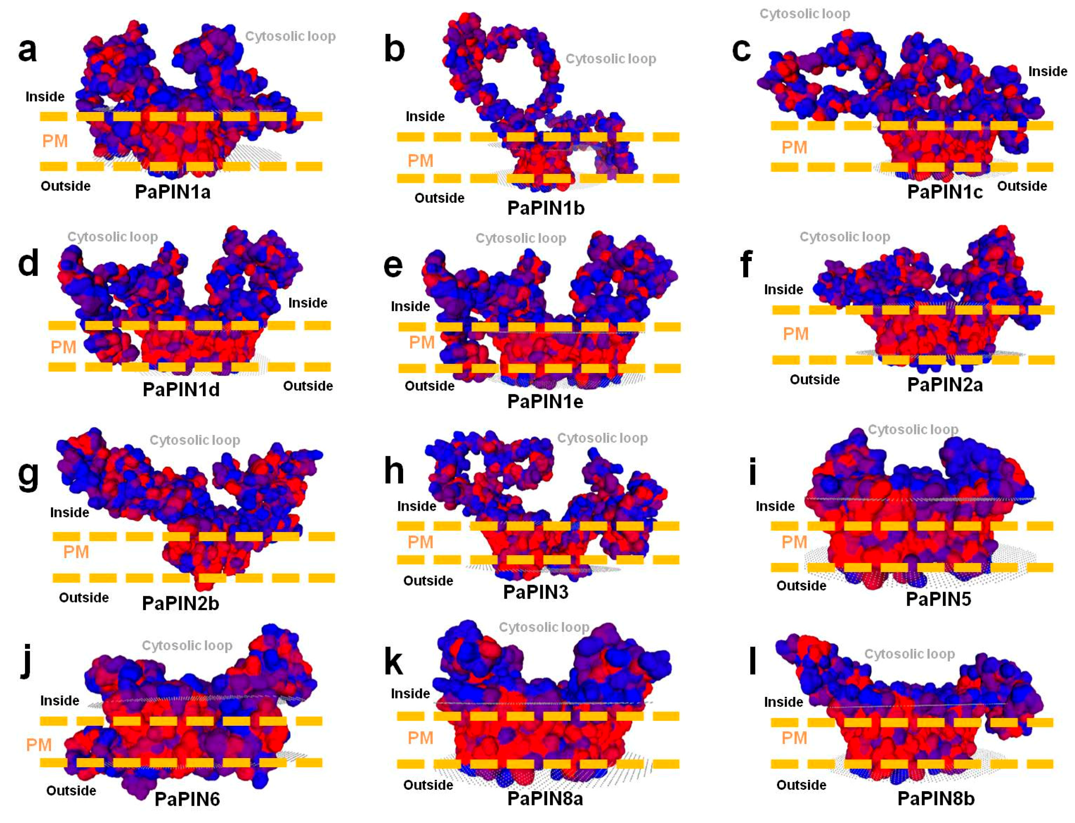 Plants 12 02280 g006 Plants 12 02280 g006