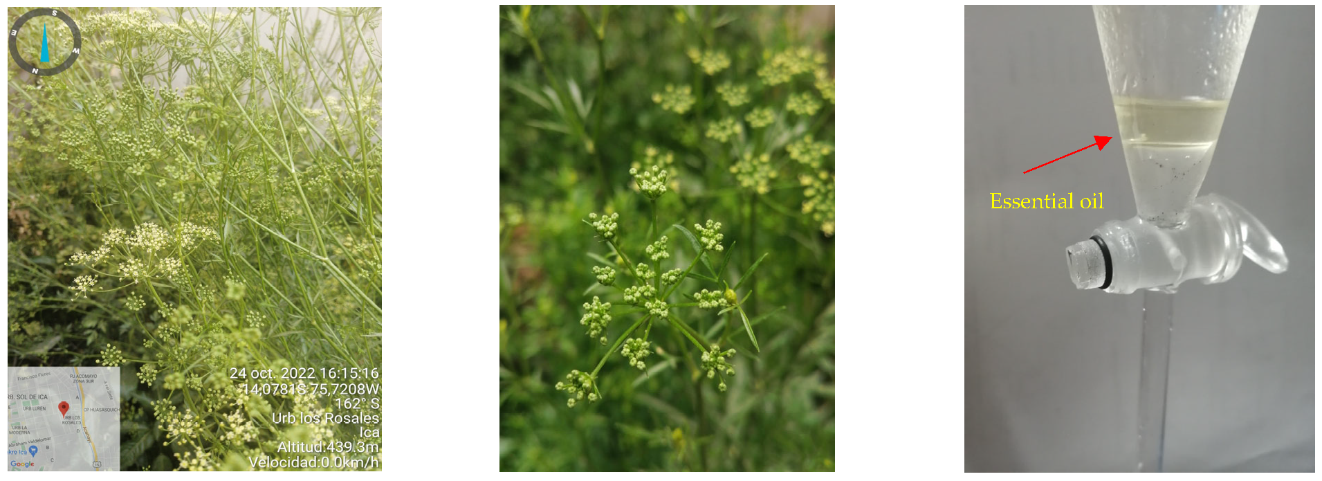 Plants 12 02288 g001 Plants 12 02288 g001