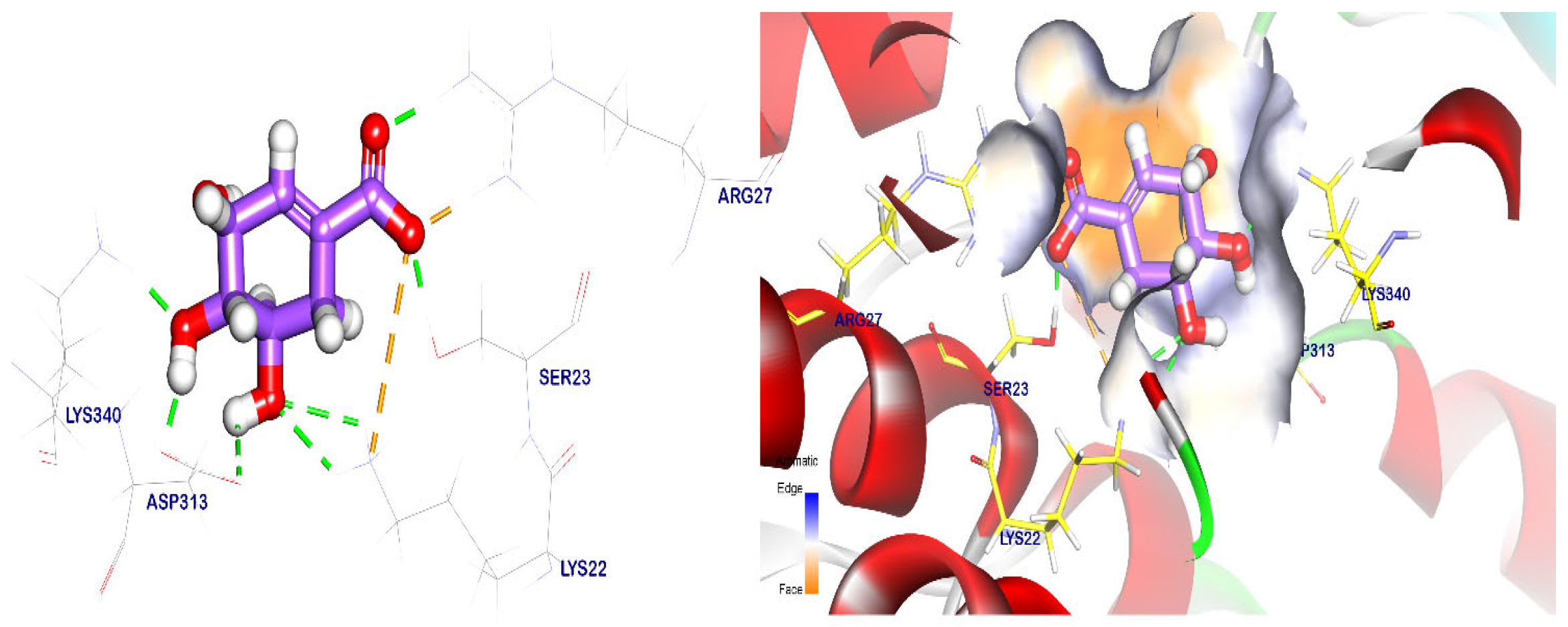 Plants 12 02288 g005 Plants 12 02288 g005