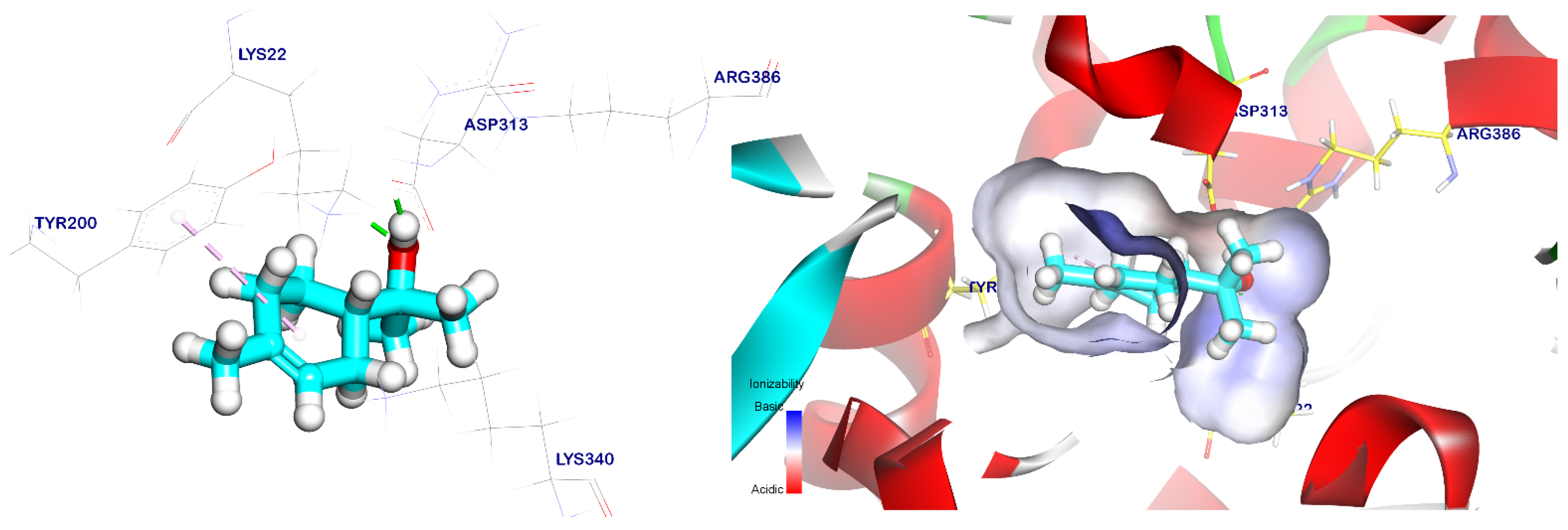 Plants 12 02288 g007 Plants 12 02288 g007