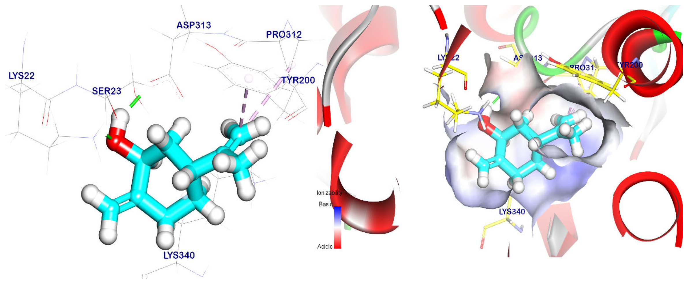 Plants 12 02288 g008 Plants 12 02288 g008