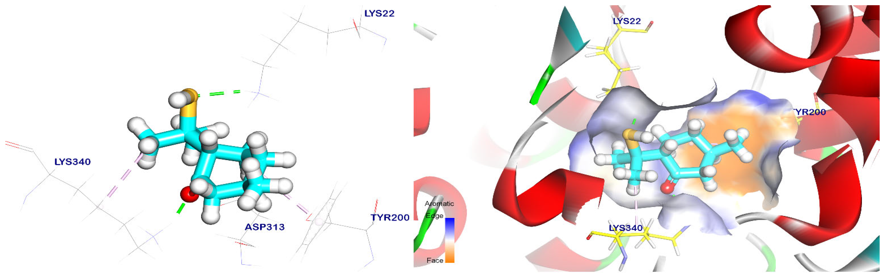 Plants 12 02288 g009 Plants 12 02288 g009