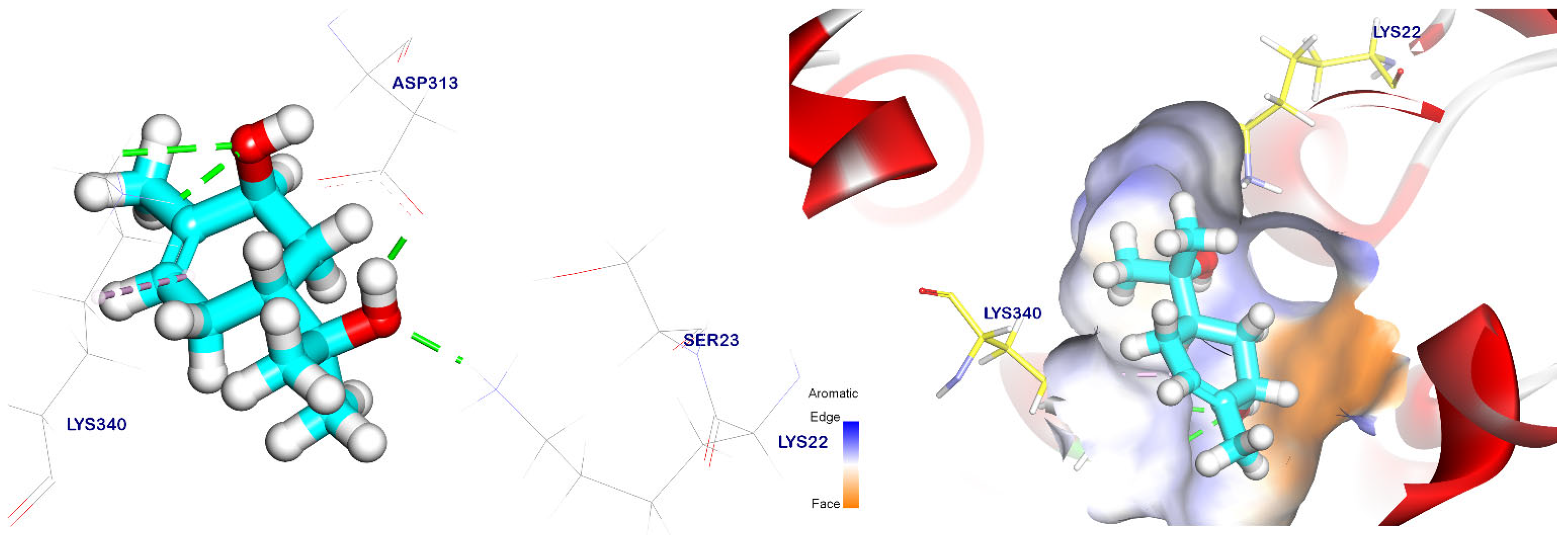 Plants 12 02288 g010 Plants 12 02288 g010