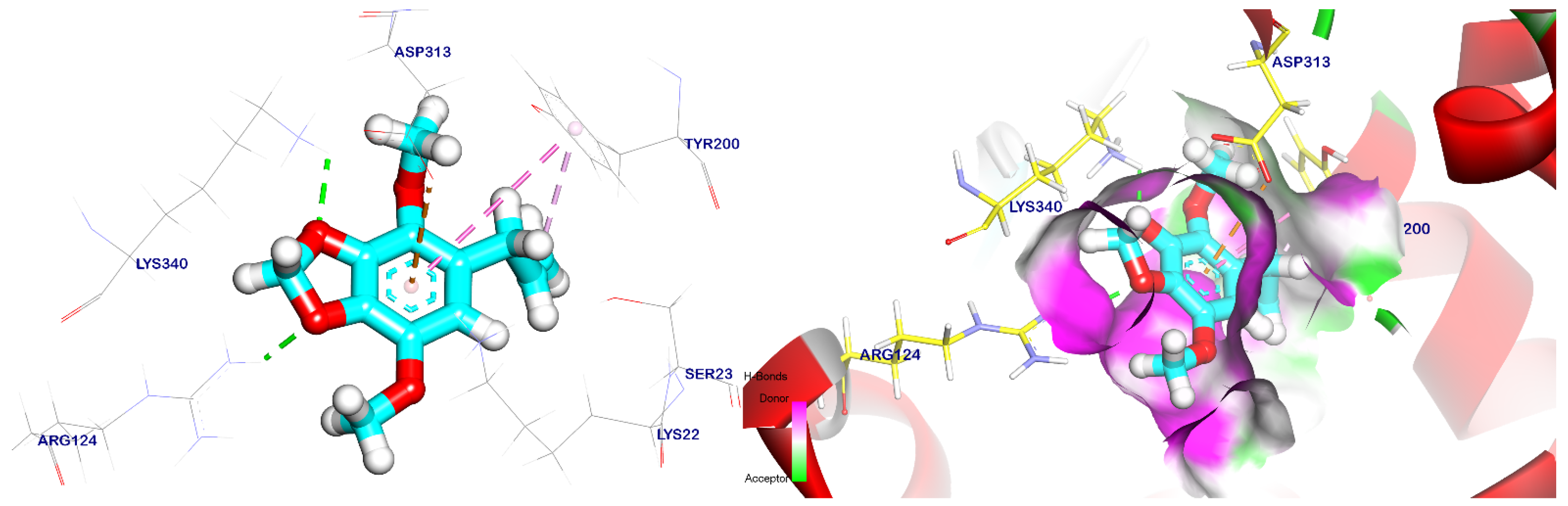 Plants 12 02288 g011 Plants 12 02288 g011