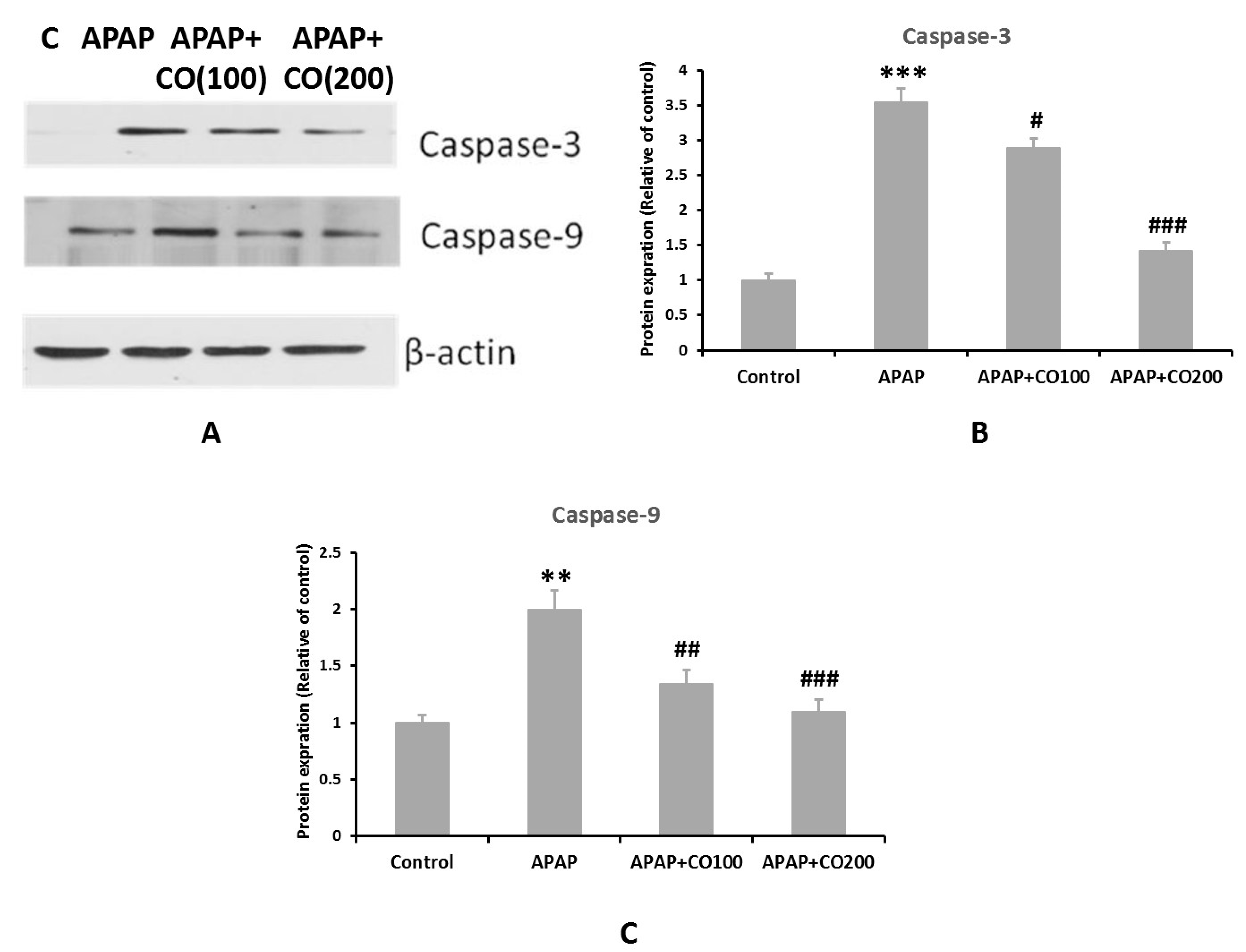 Plants 12 02290 g007 Plants 12 02290 g007