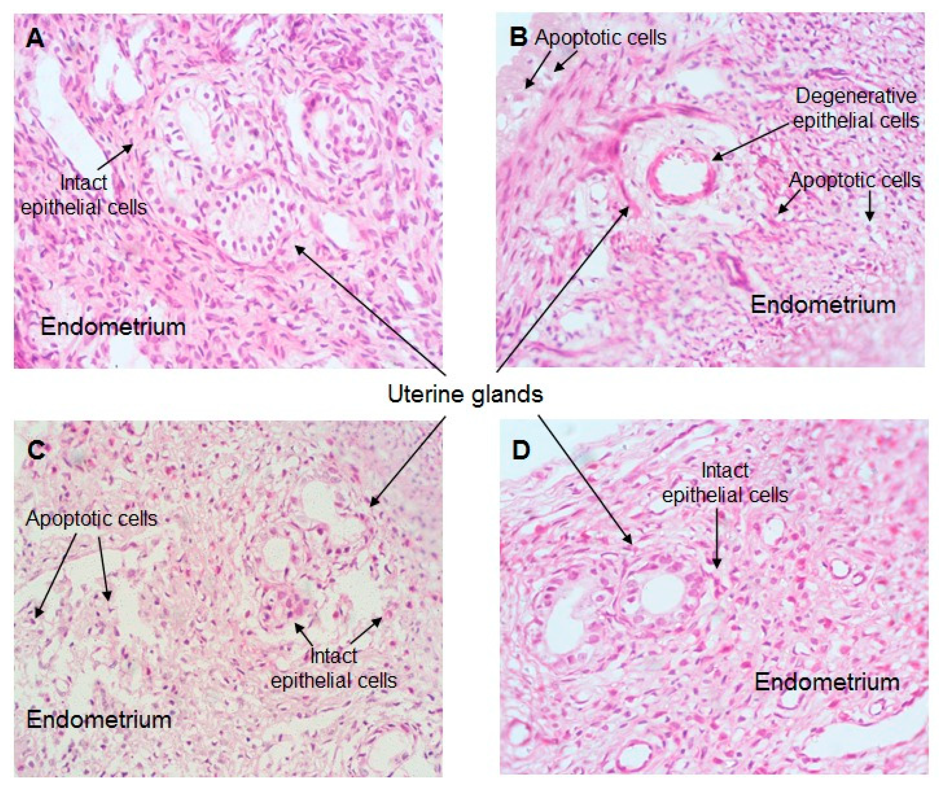 Plants 12 02290 g008 Plants 12 02290 g008