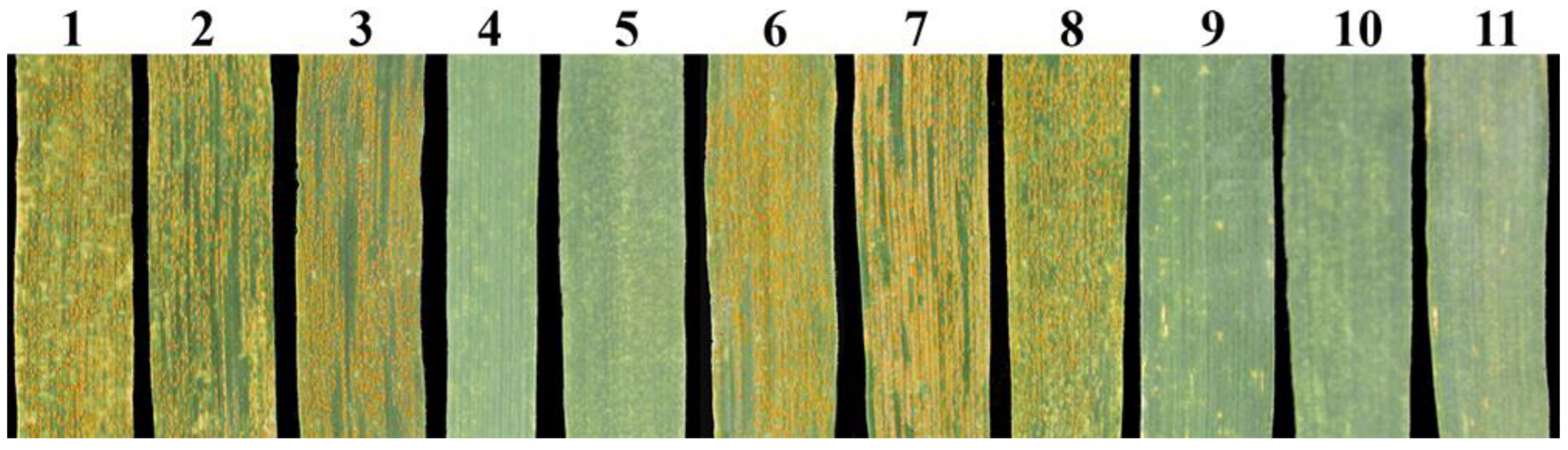 Plants 12 02311 g008 Plants 12 02311 g008