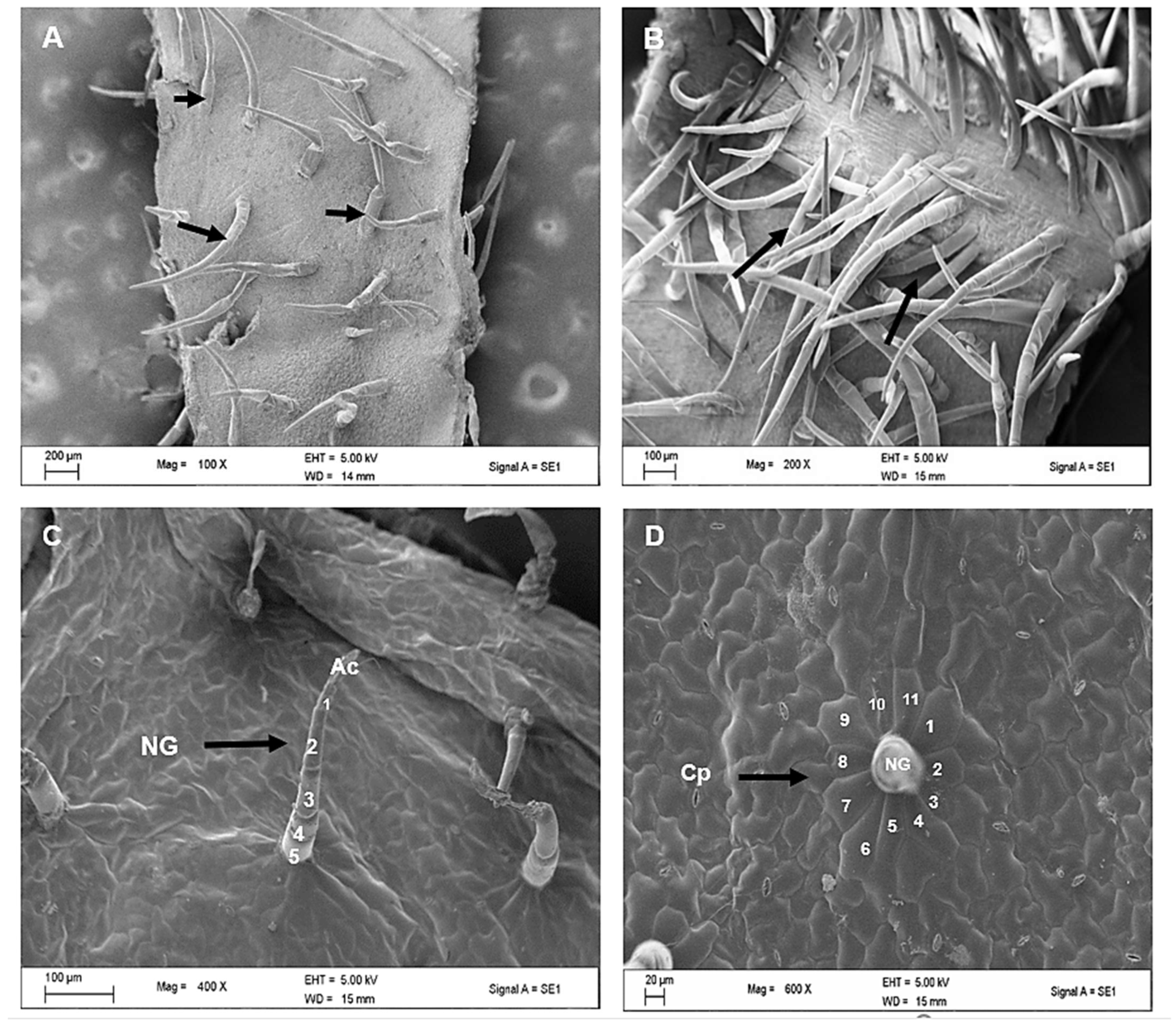 Plants 12 02312 g003