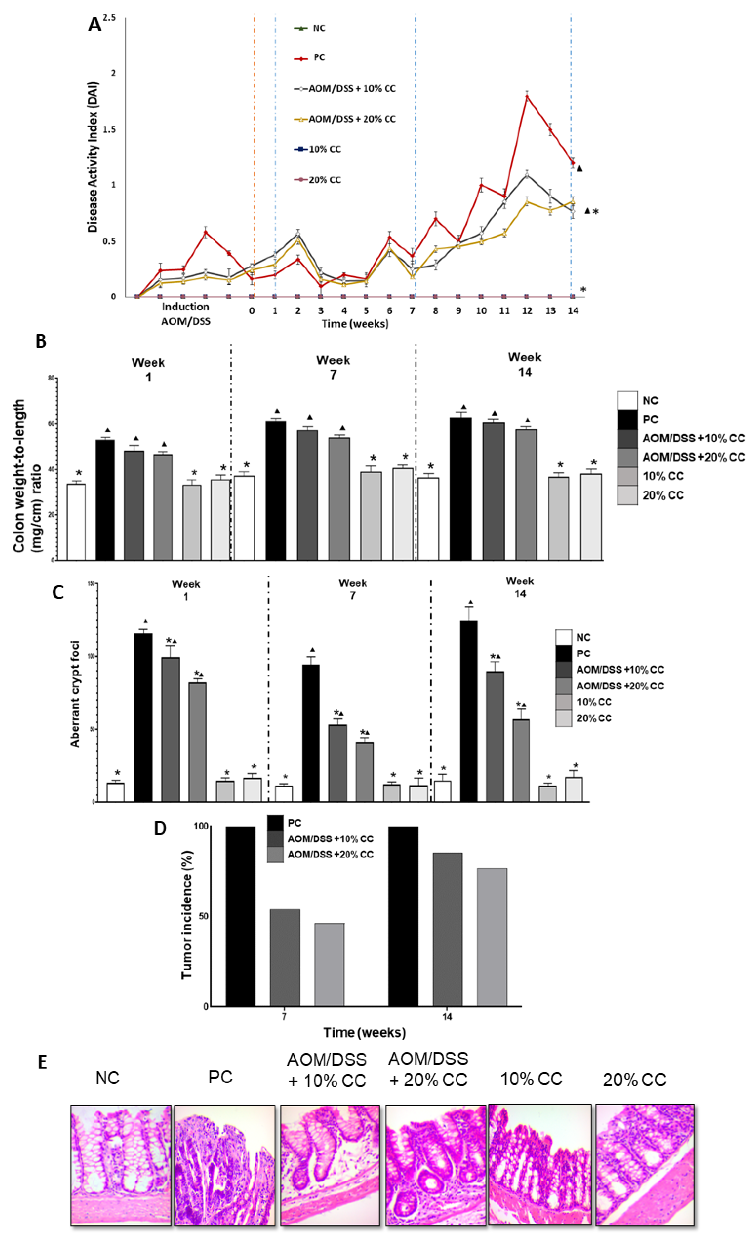 Plants 12 02317 g001
