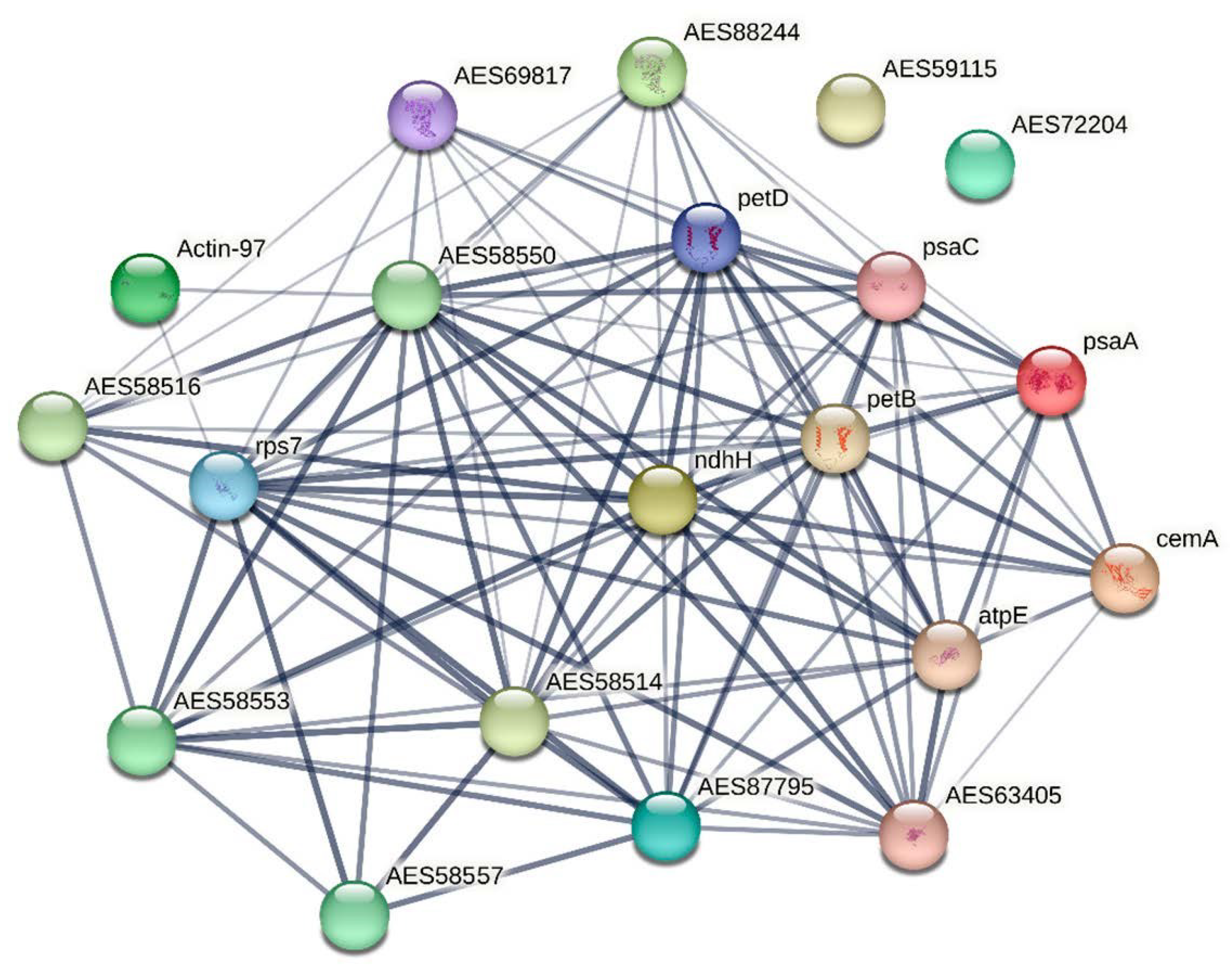 Plants 12 02318 g005