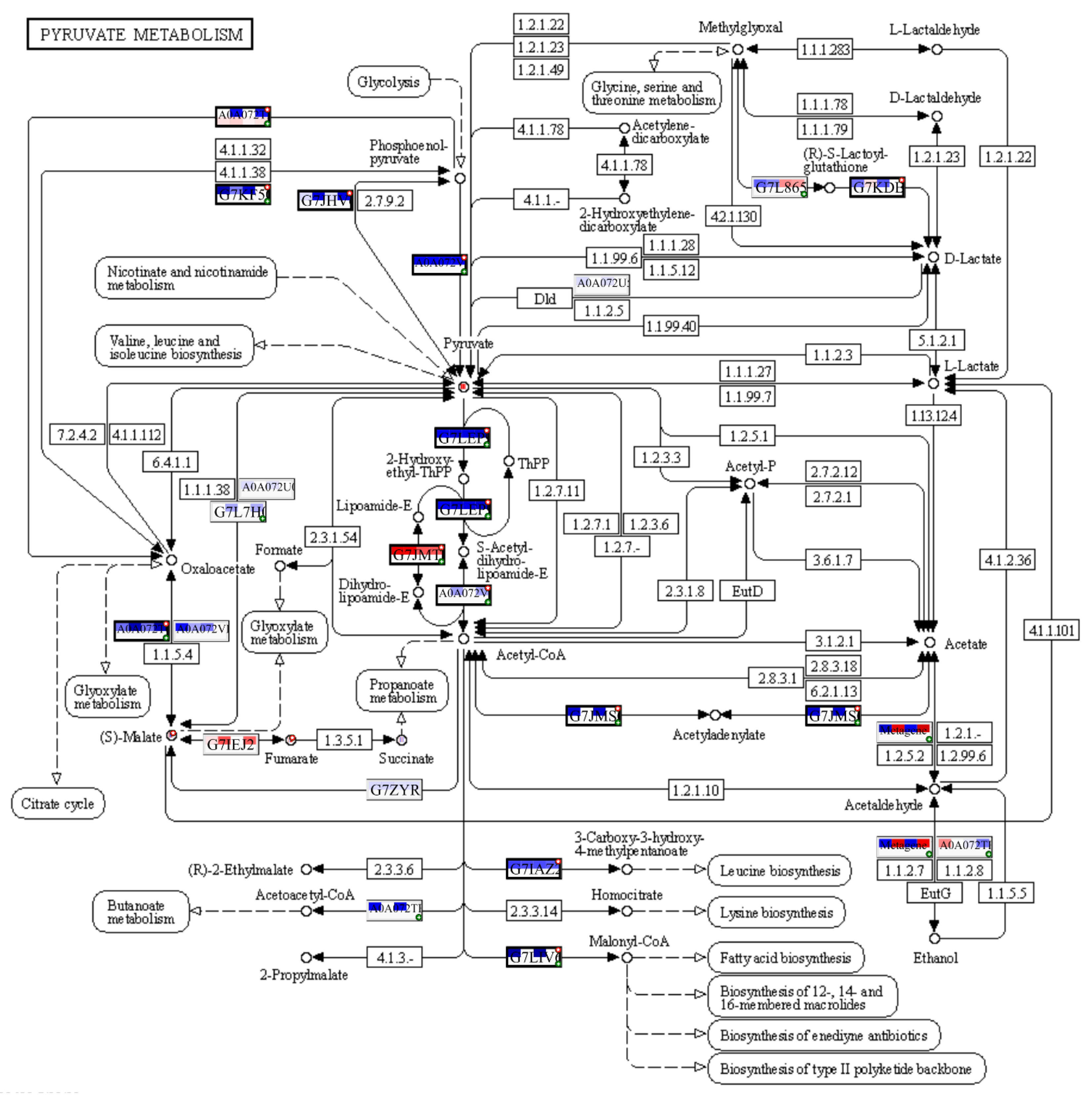 Plants 12 02318 g009
