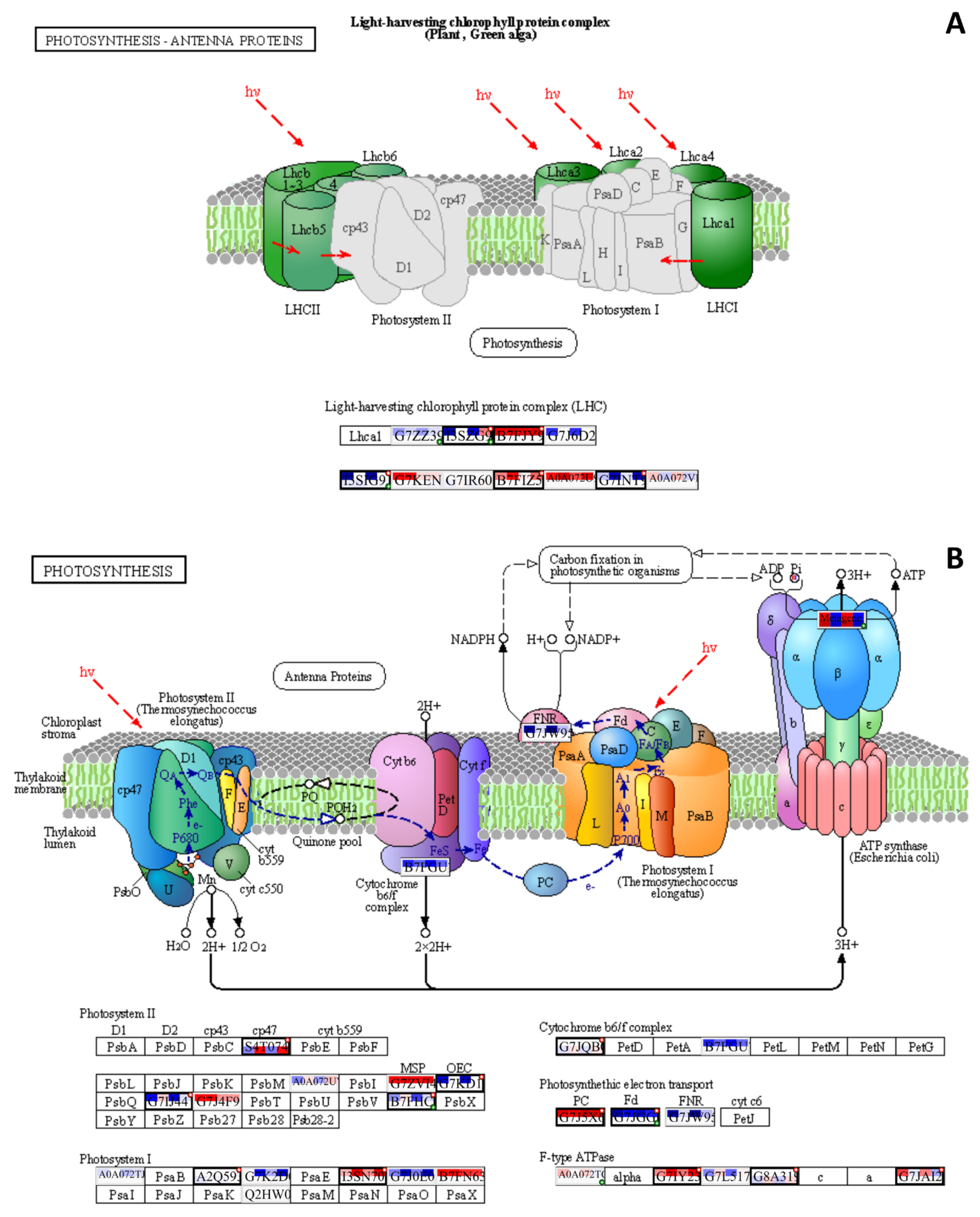 Plants 12 02318 g010