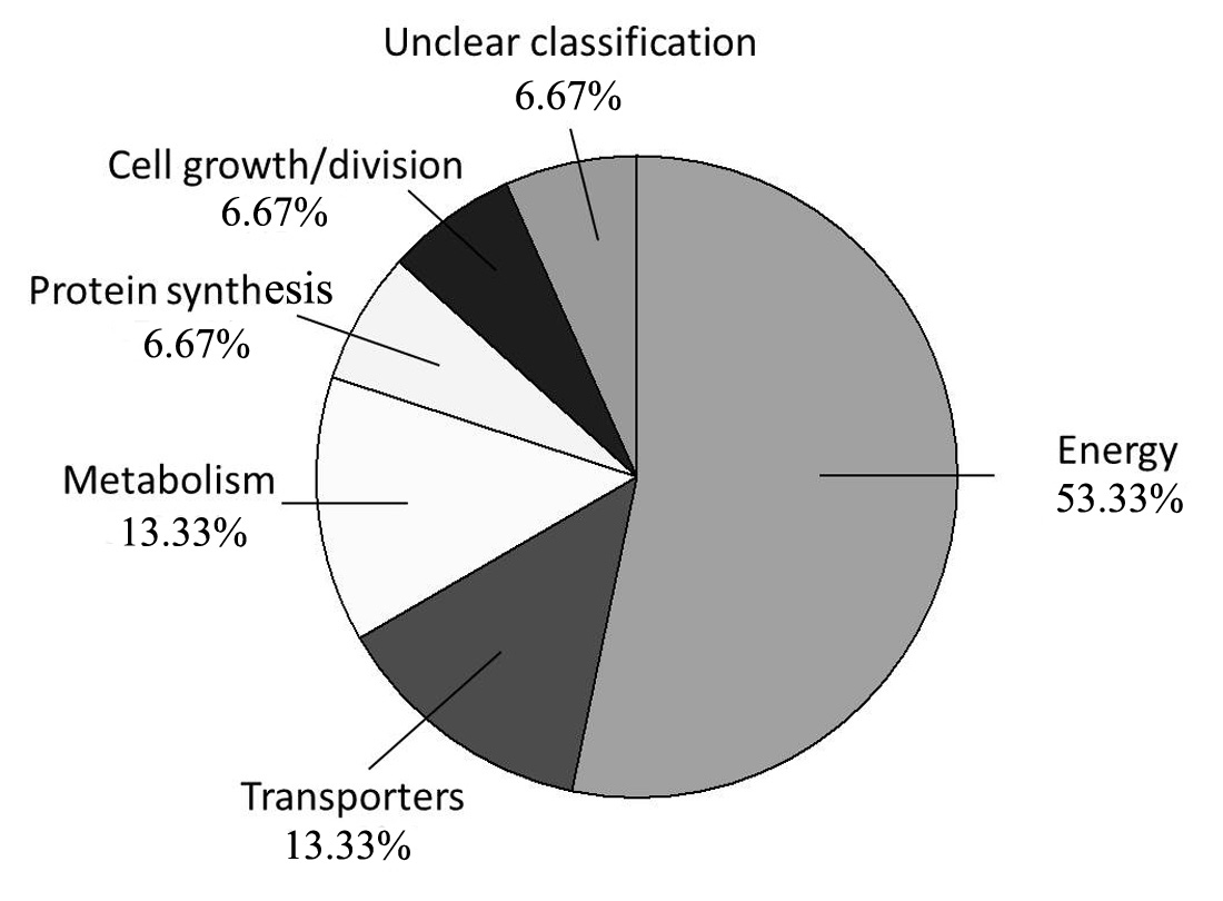 Plants 12 02319 g002 Plants 12 02319 g002