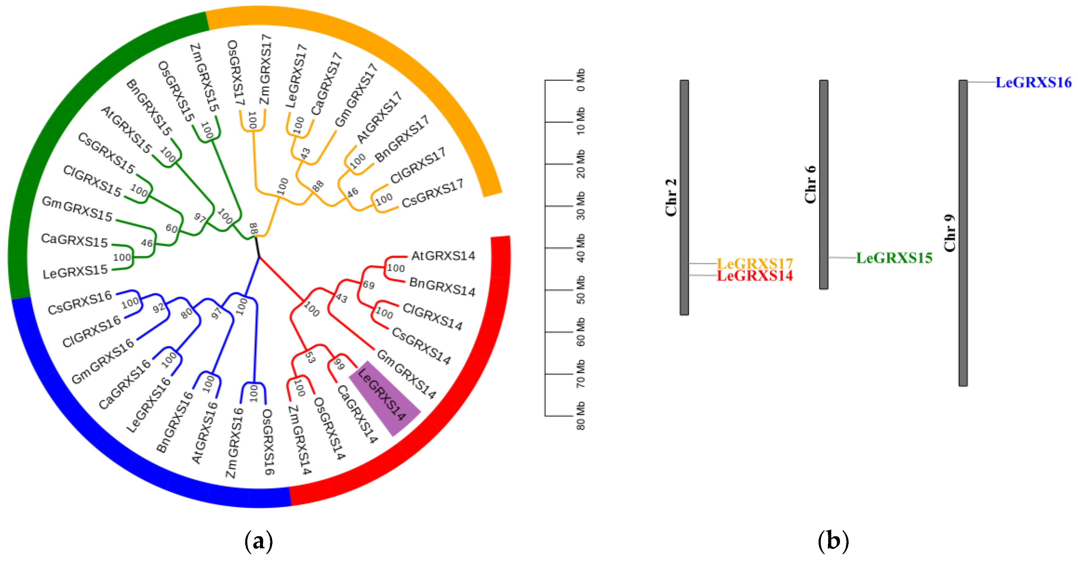Plants 12 02320 g001 Plants 12 02320 g001