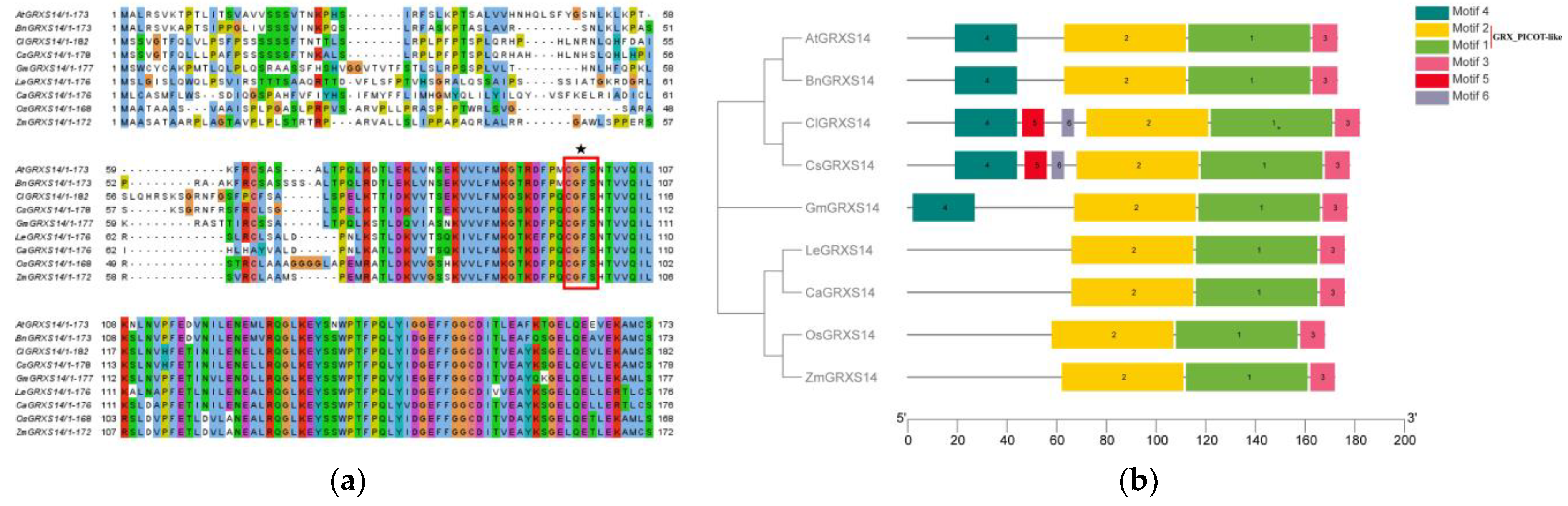 Plants 12 02320 g002 Plants 12 02320 g002