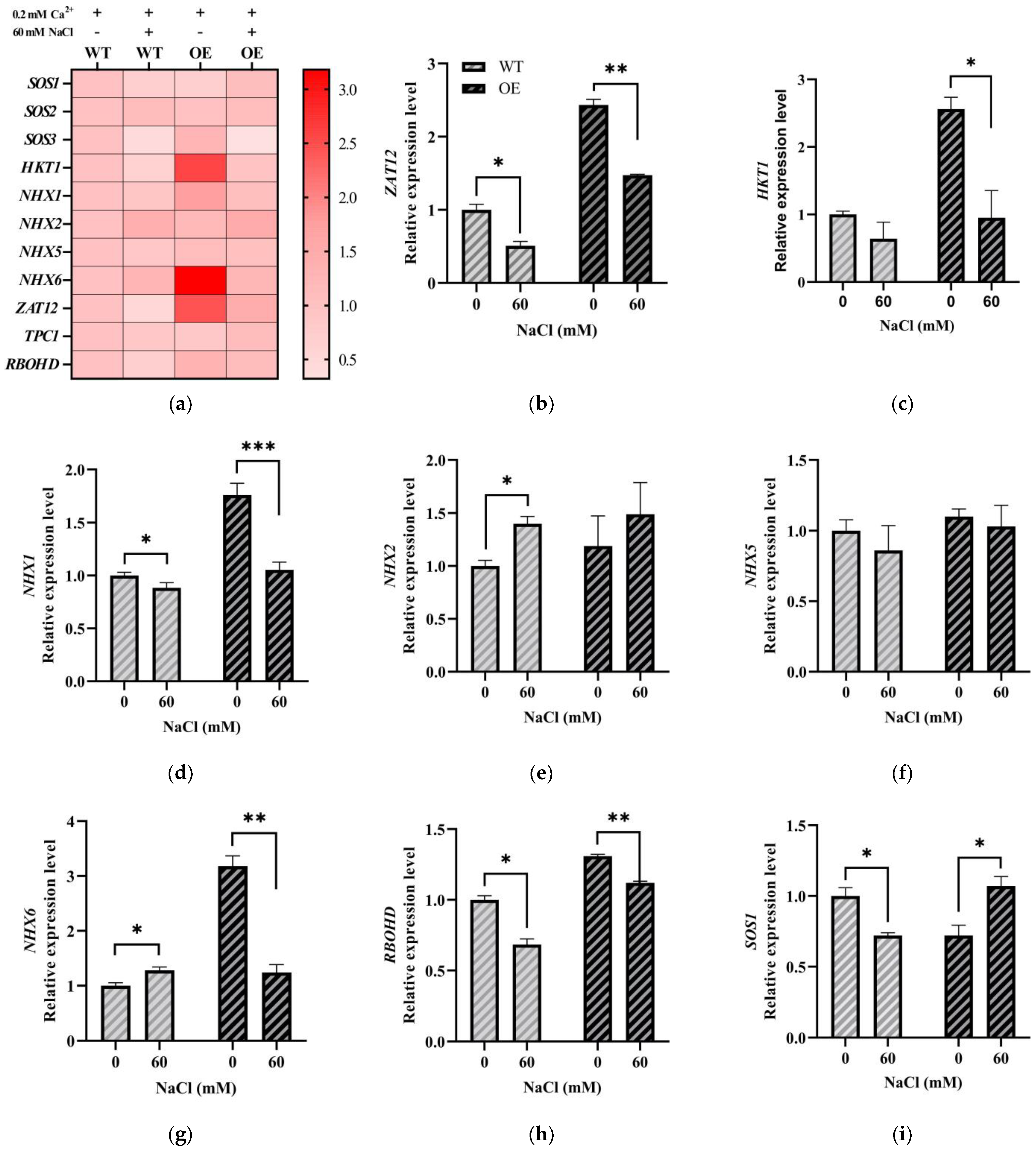 Plants 12 02320 g006a Plants 12 02320 g006a