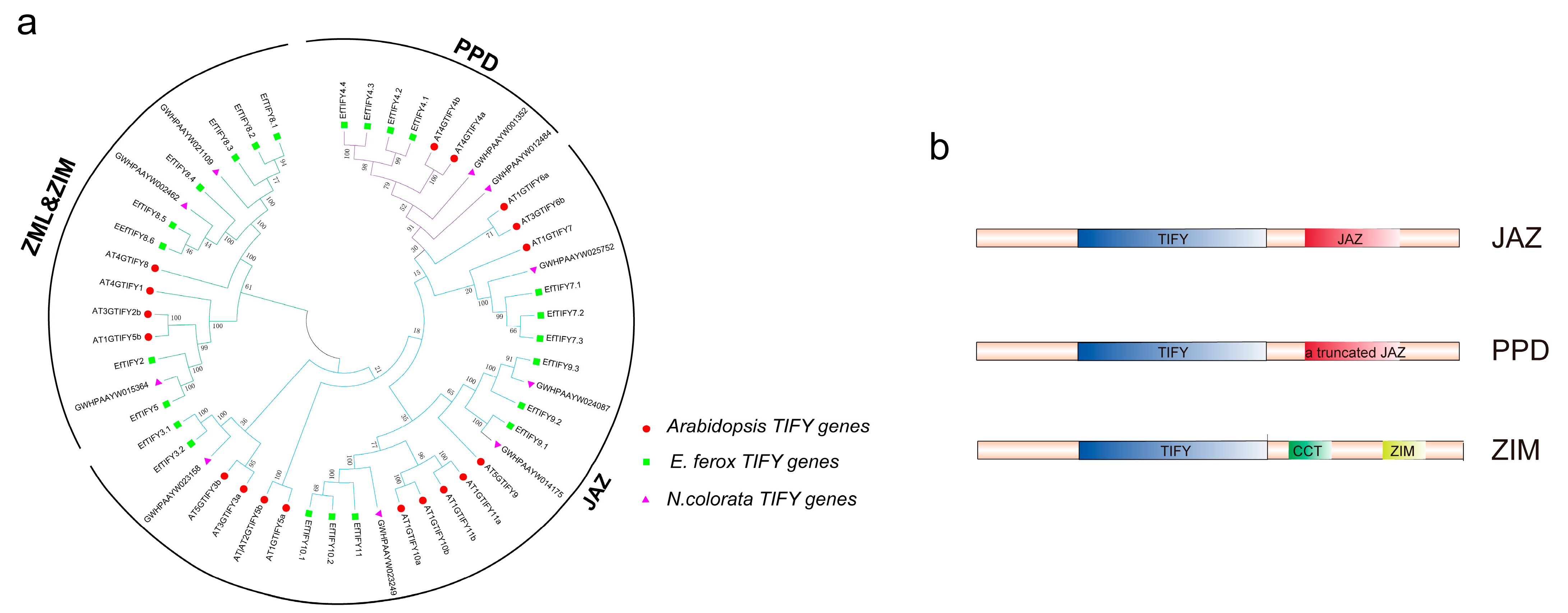 Plants 12 02323 g001